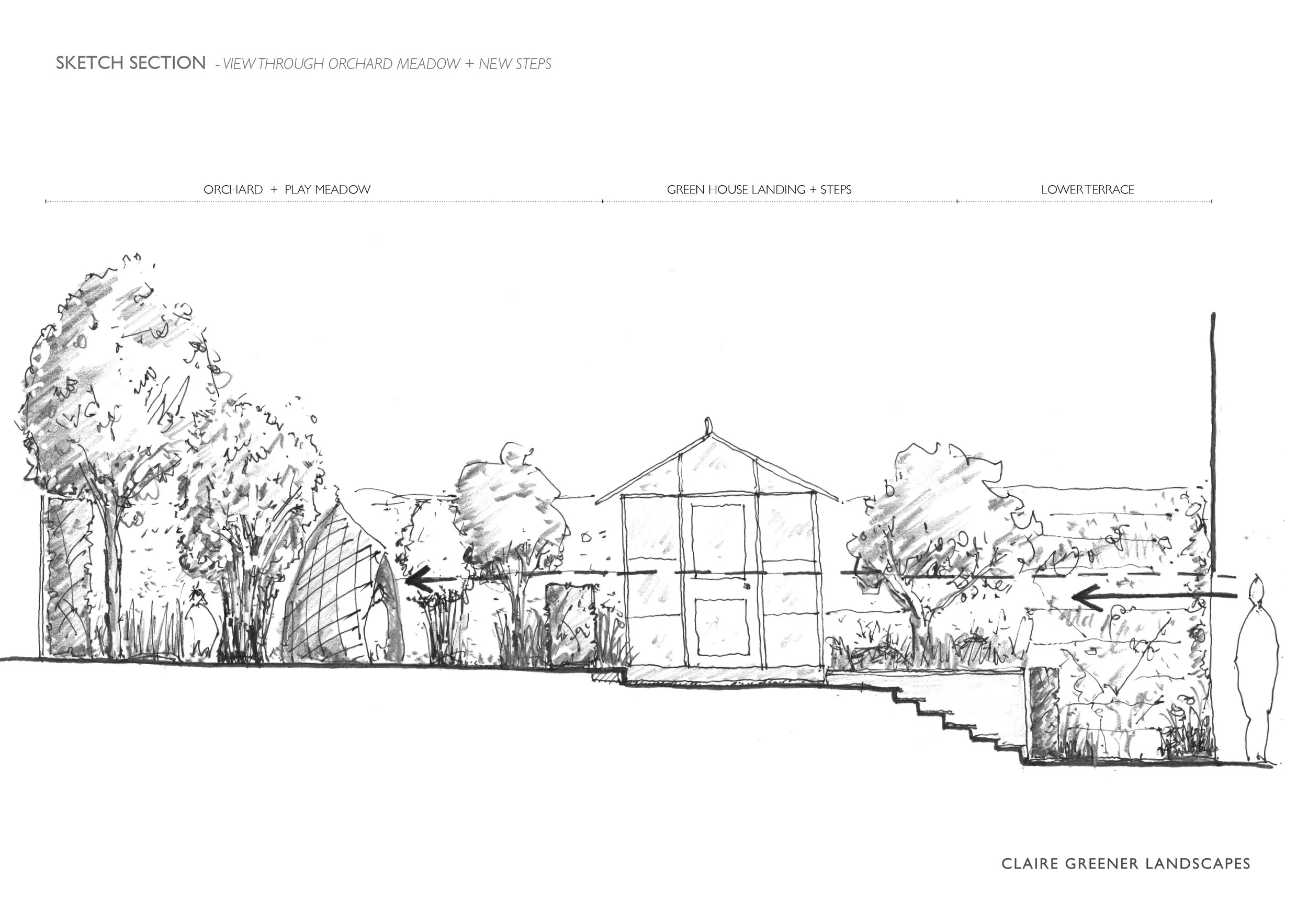 Wiltshire Sketch section2.jpg