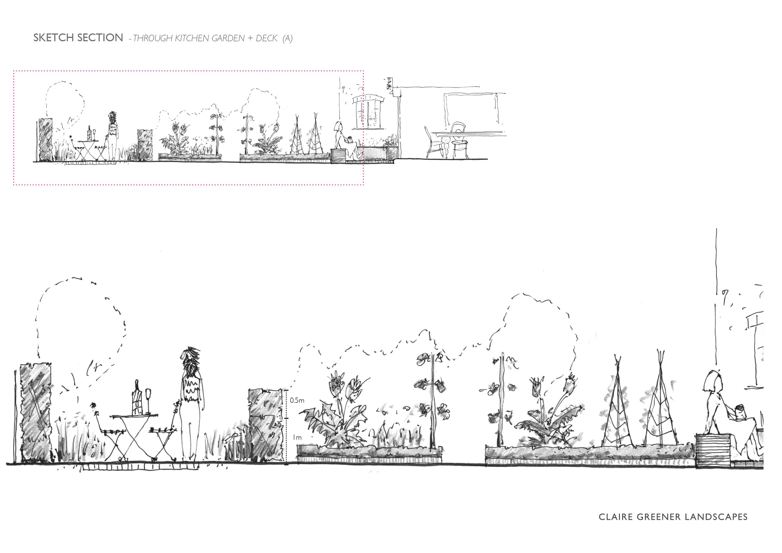 Wiltshire Sketch section4.jpg