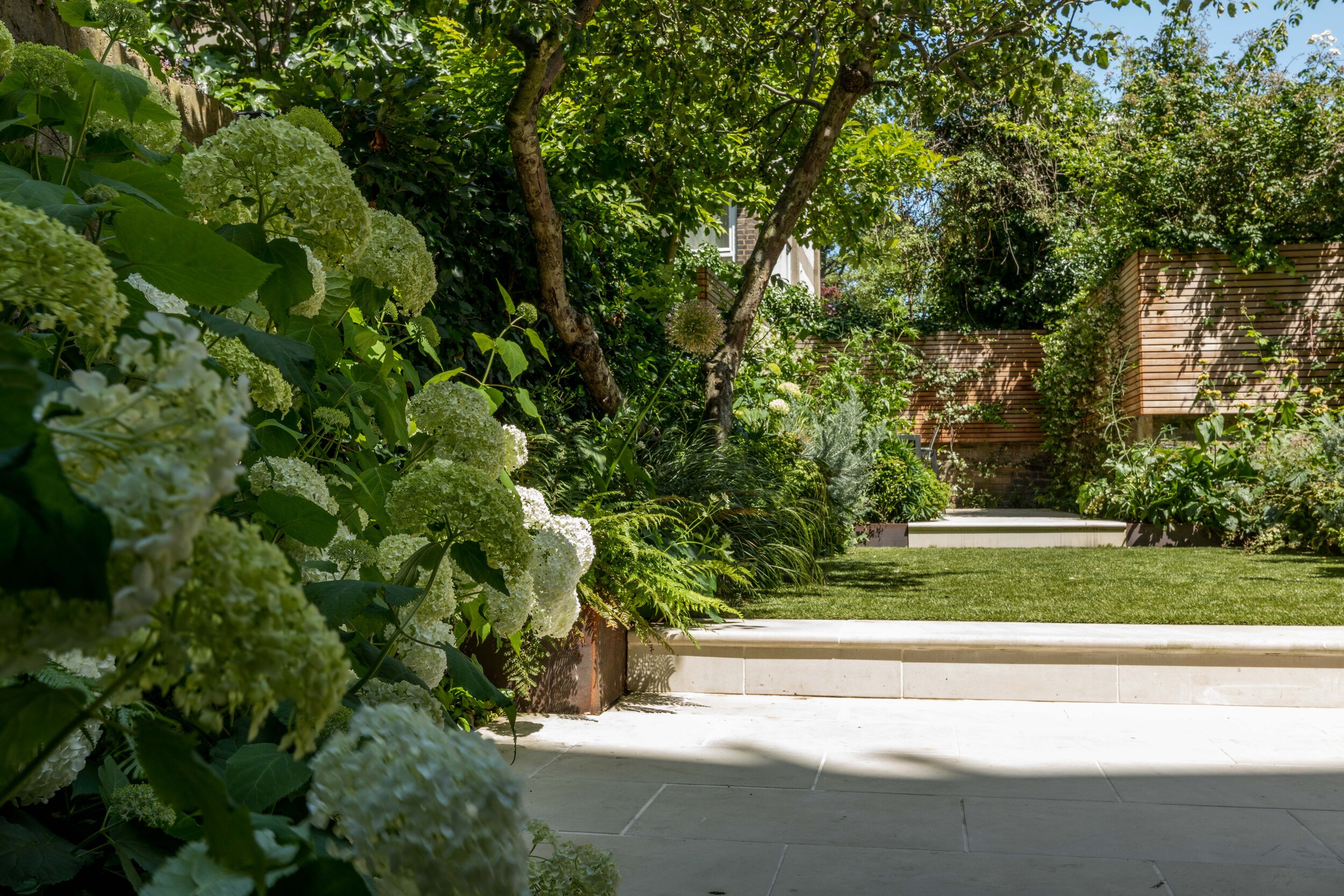 Notting Hill Family Garden West London Garden Design West London Planting Design Br Claire Greener Landscapes