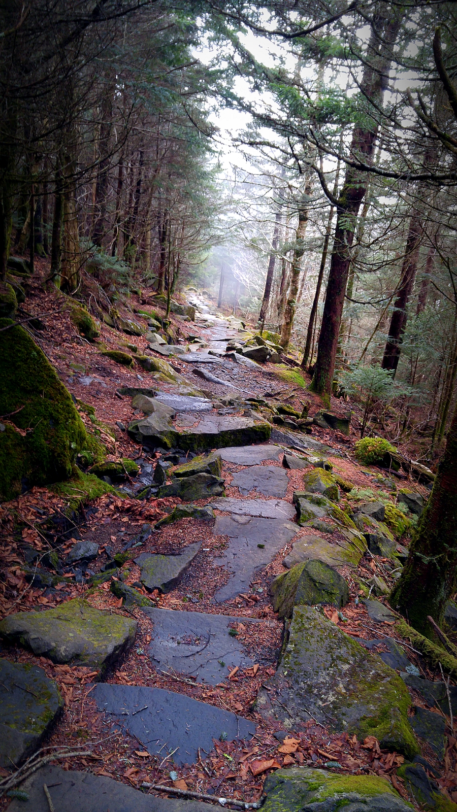 Forney Ridge Trail