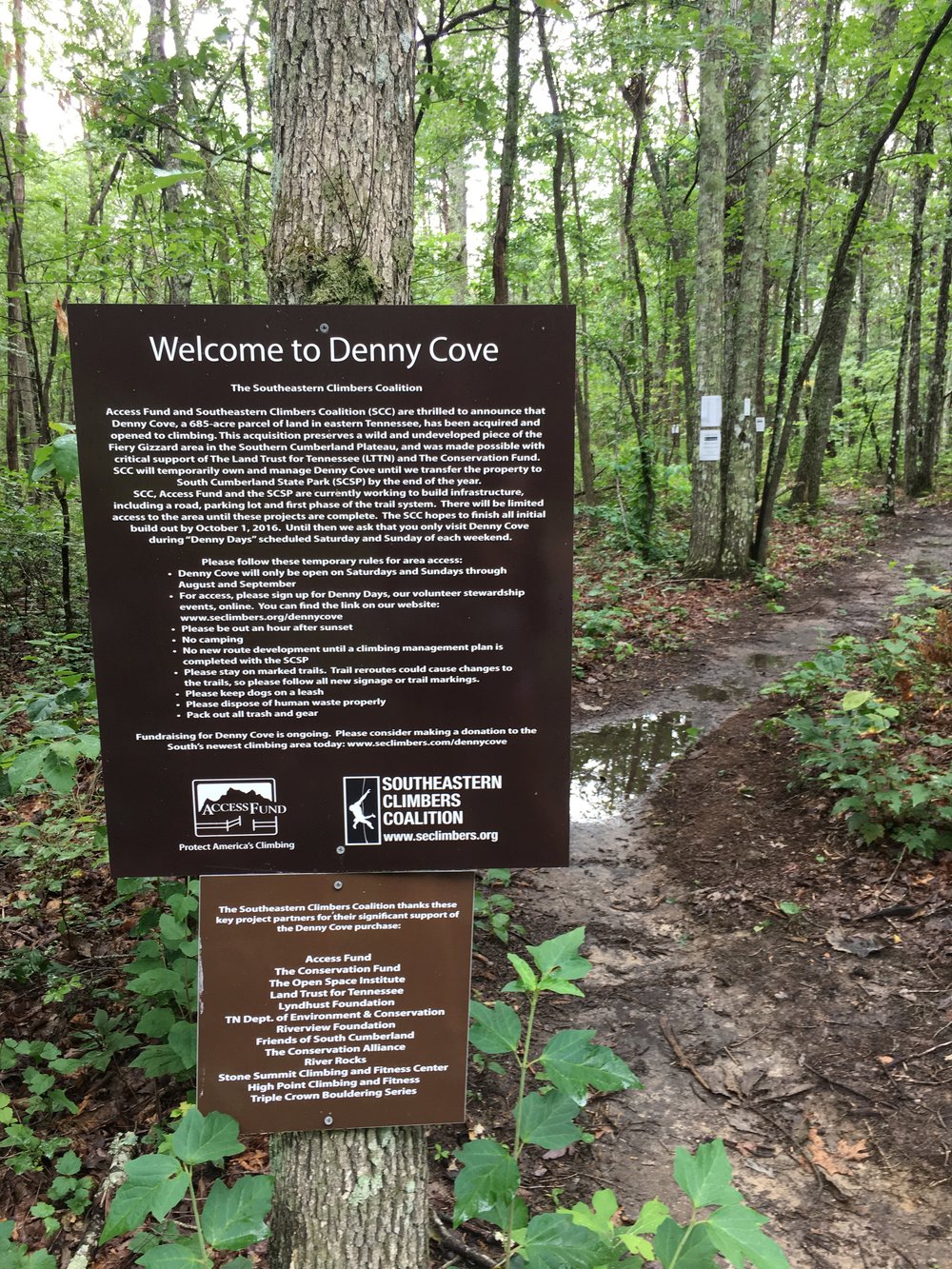 adv 10 denny cove 1.jpg