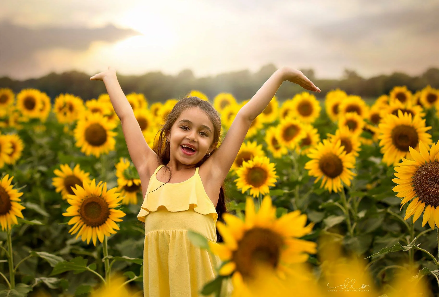 2018 Daisy Lu Photography 17.jpg
