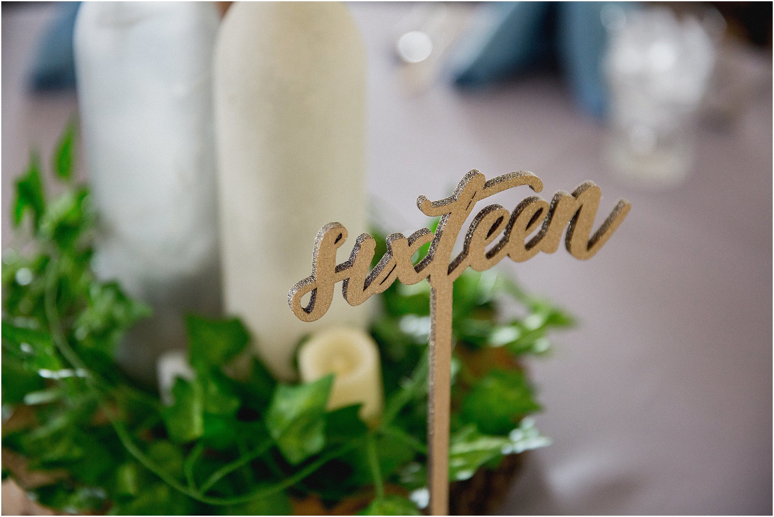 Whispering_Oaks_Wedding_Photographer_0461.jpg