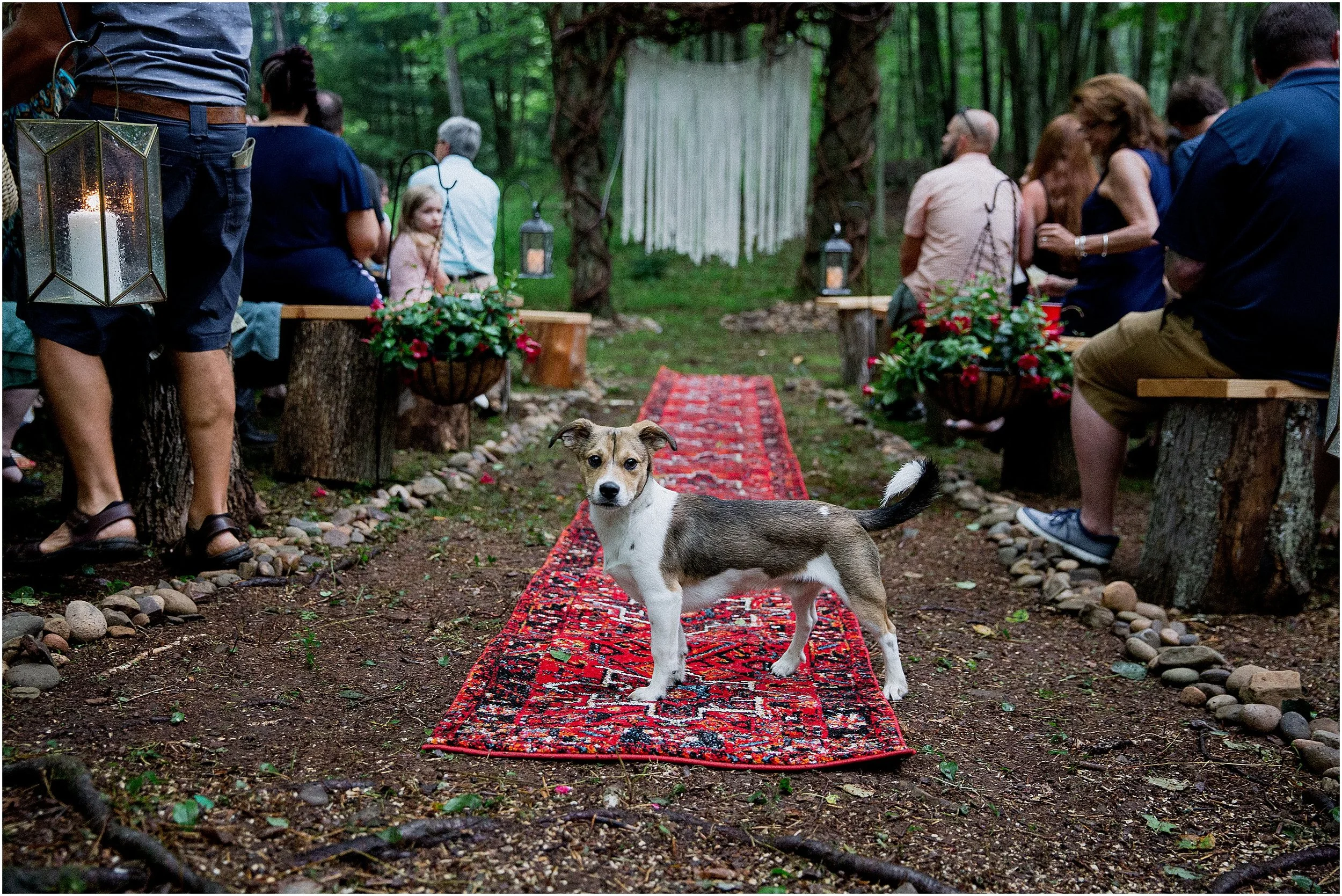 Rose_Valley_Lake_Wedding_Photographer_0043.jpg