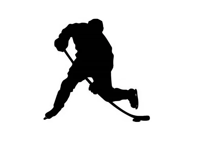 ON-ICE Skill Development