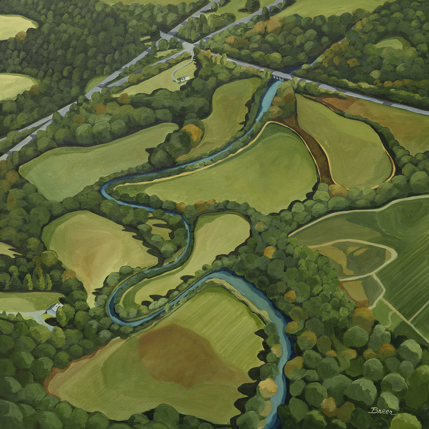 Birds Eye View