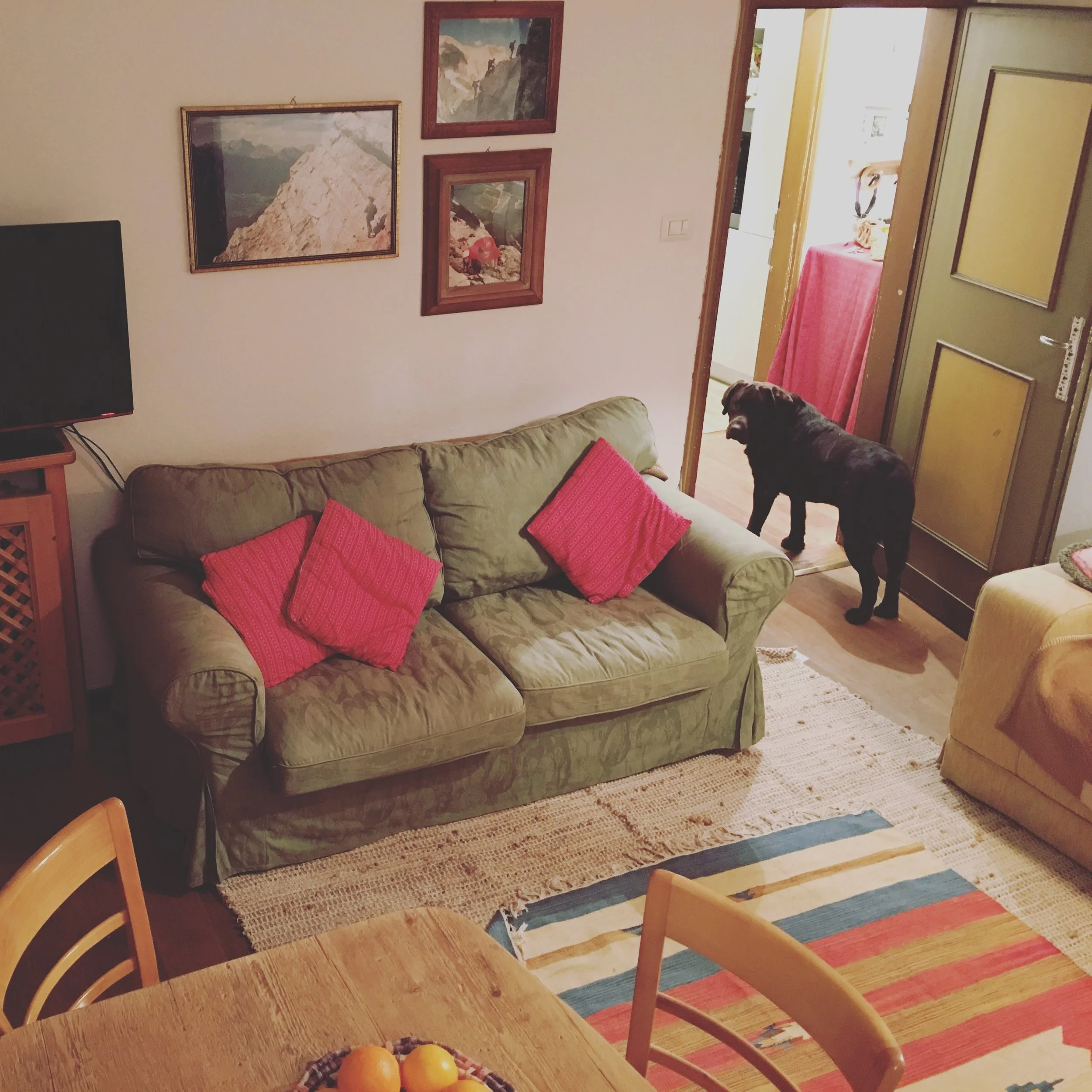 2016-11-27 20.24.55-1.jpg