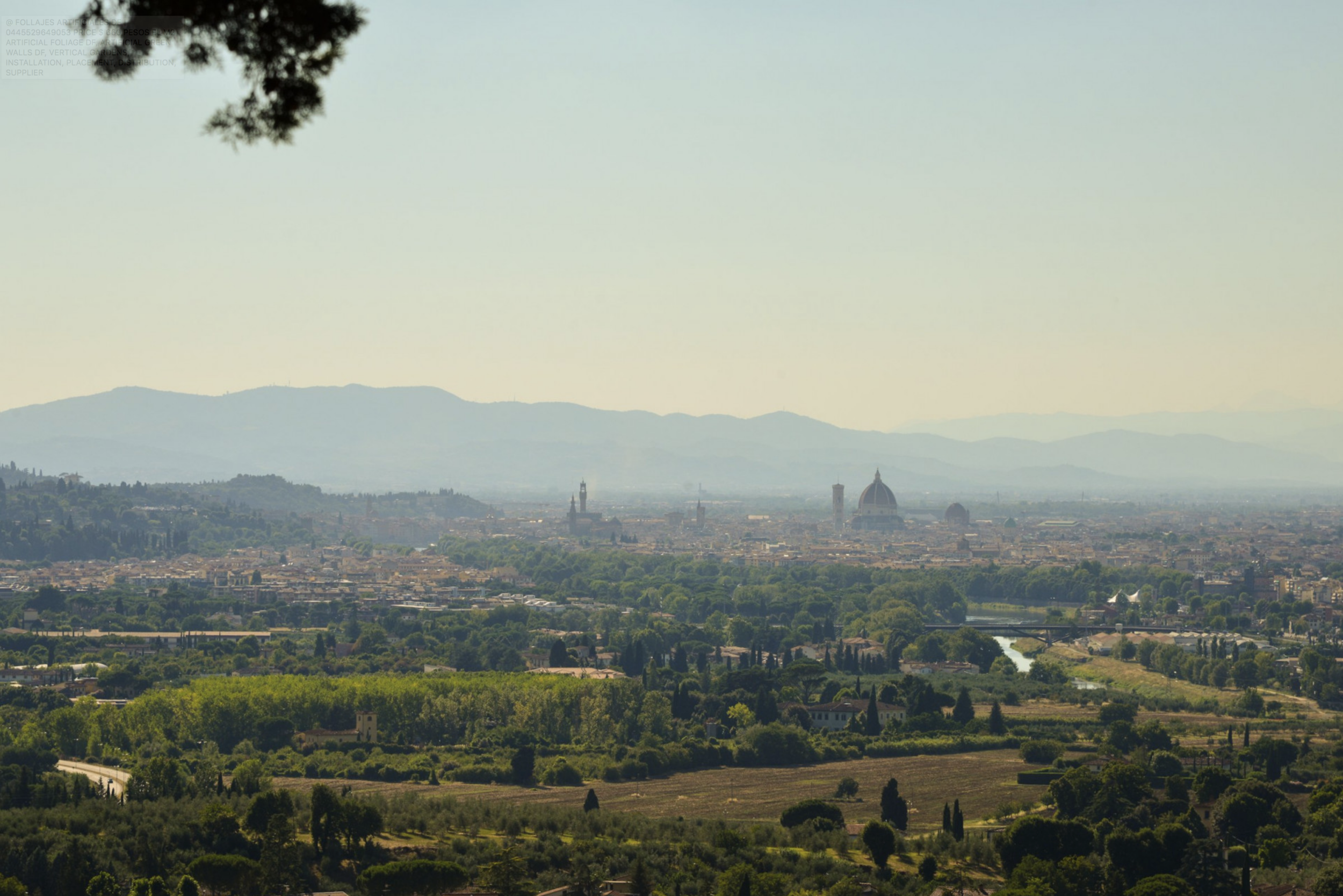 firenze da fattoria borgo villa olmo.png