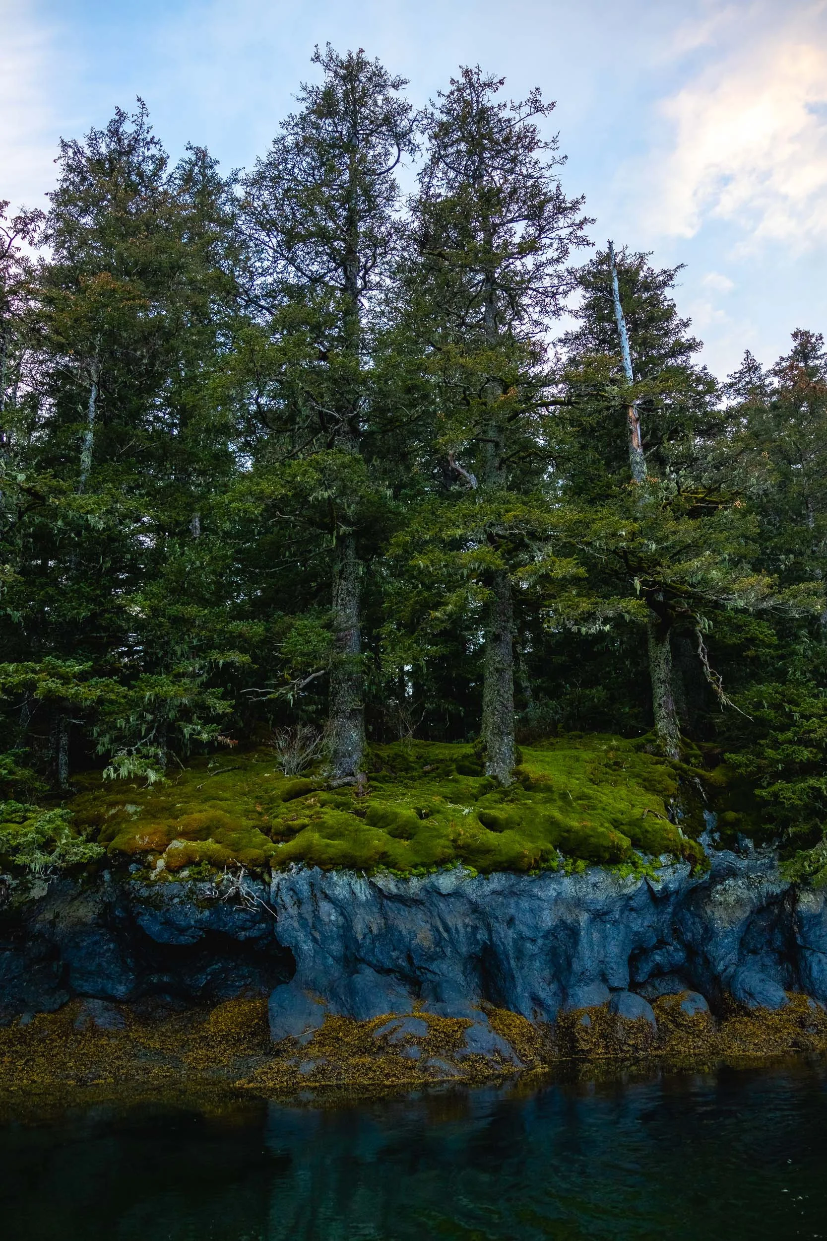 Alaska Coastal Black Bear Hunting_Bass Pro Shops_Cabelas_David Cannon Photography_web-28.jpg