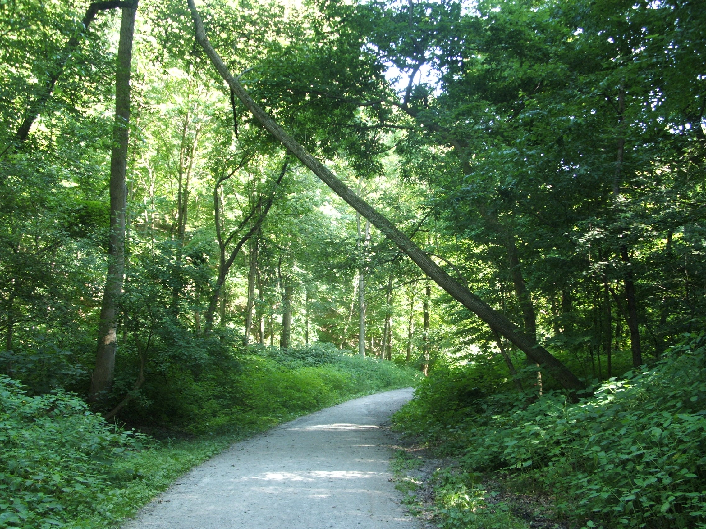 Pittsburgh_frick_park_trail.jpg