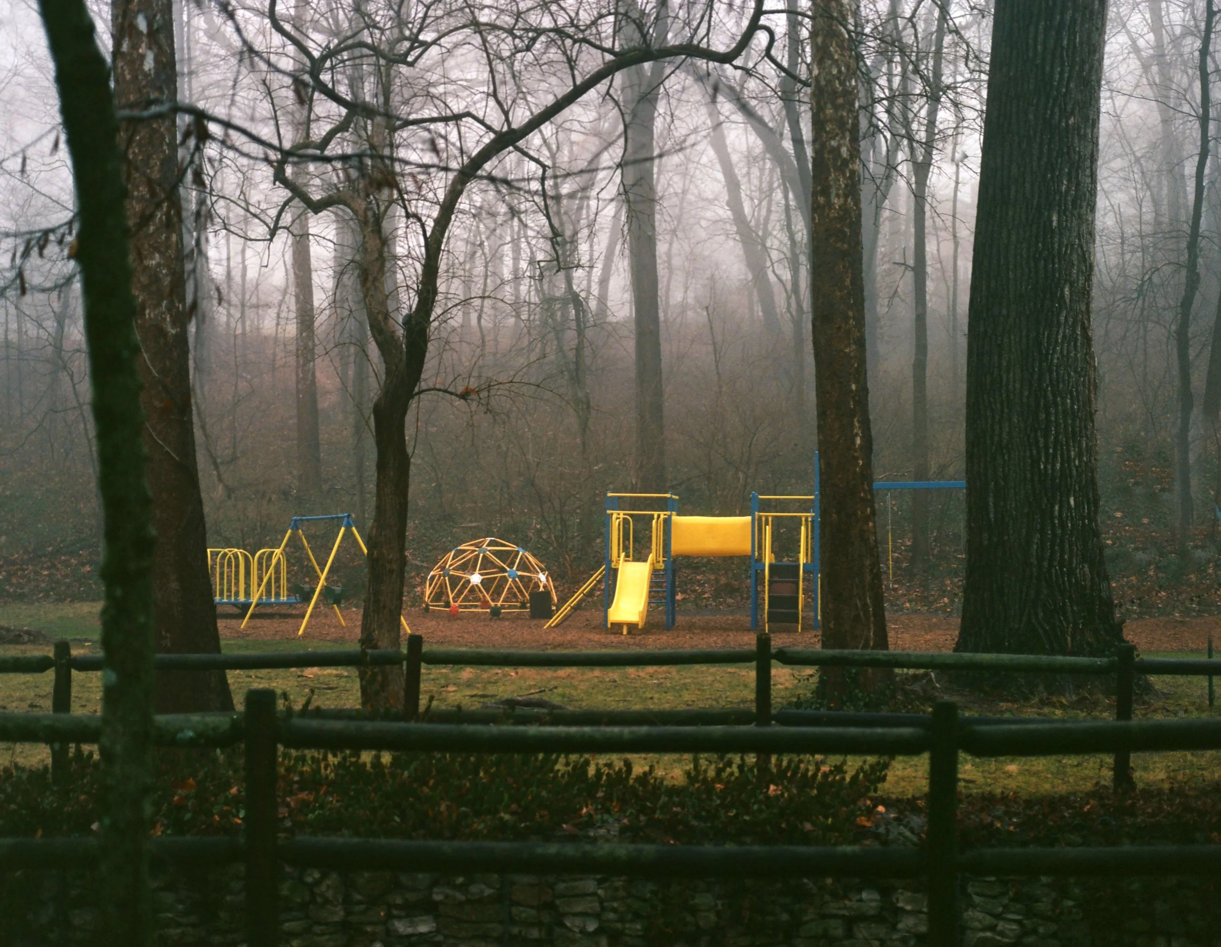 warsonwoods241.jpg