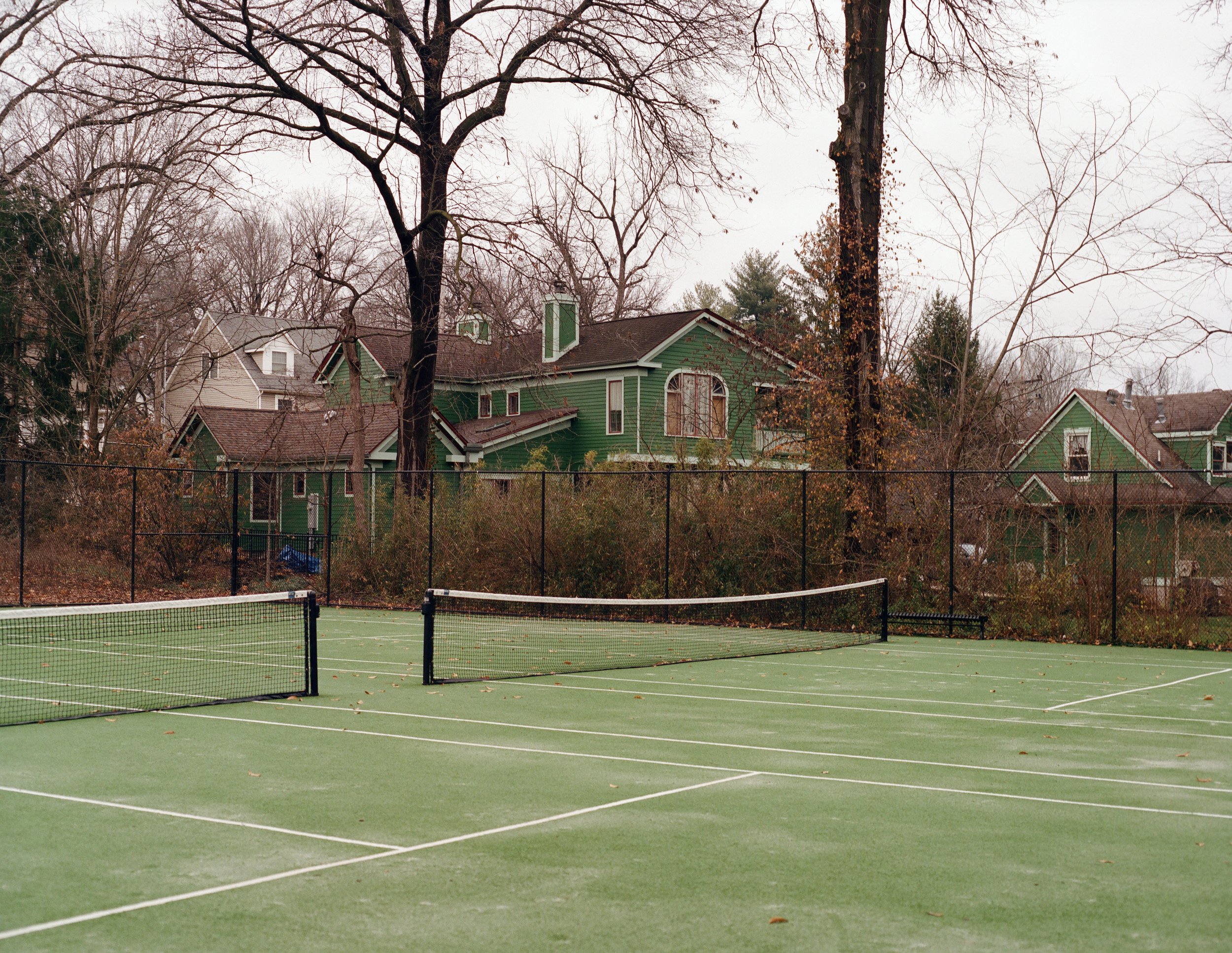 webster2455.jpg