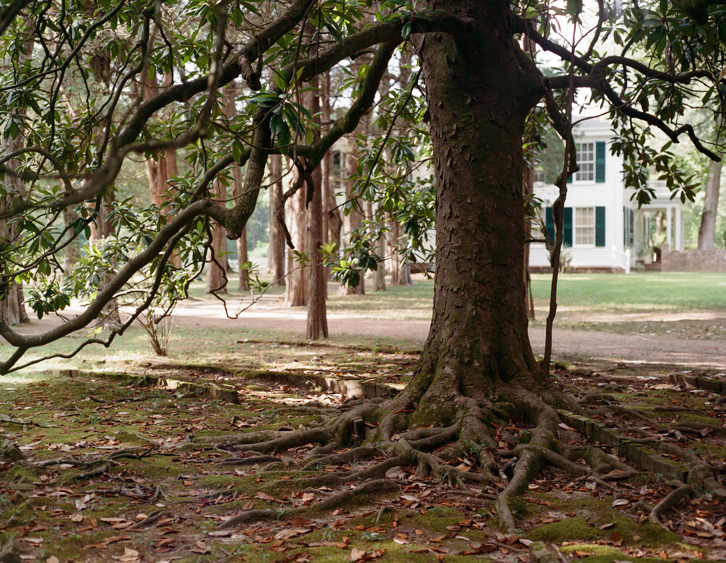 oxfordms2543 (2).jpg