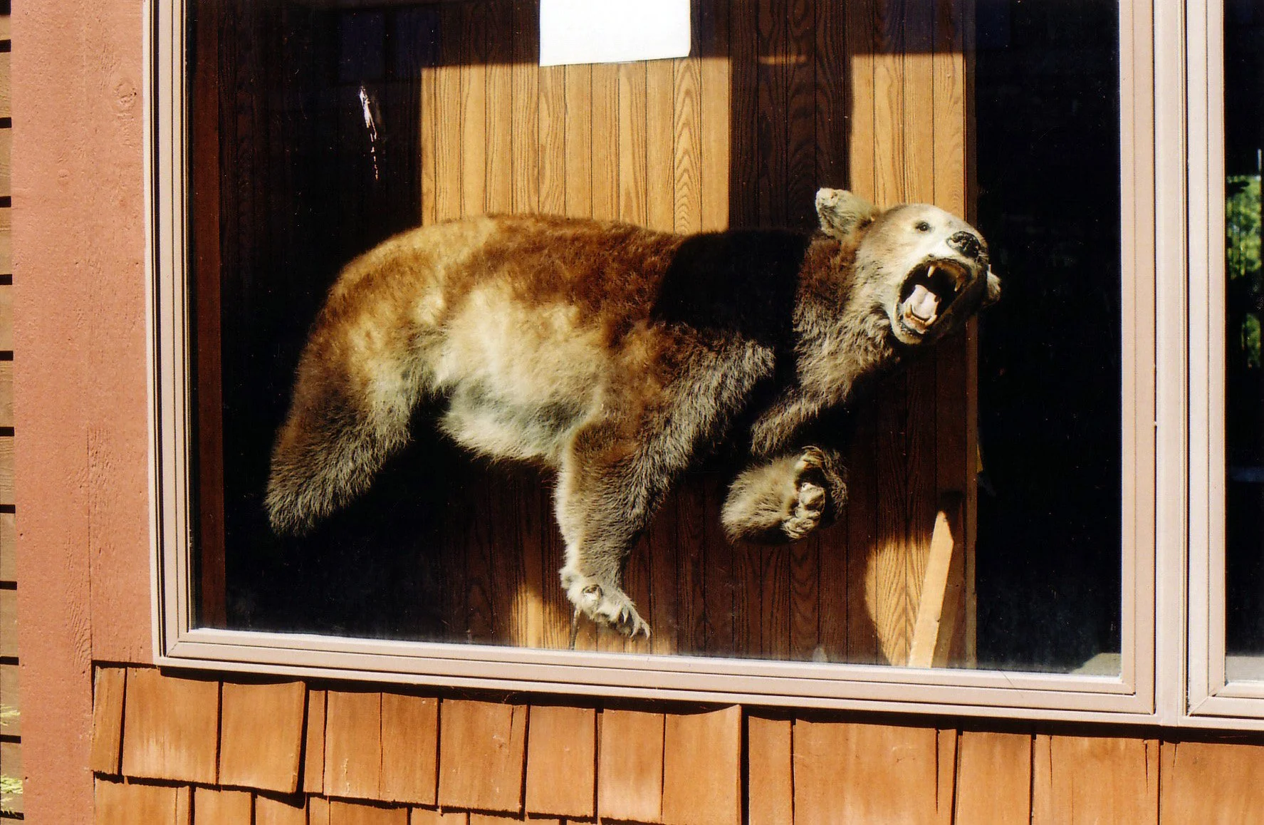foxriverill06.jpg