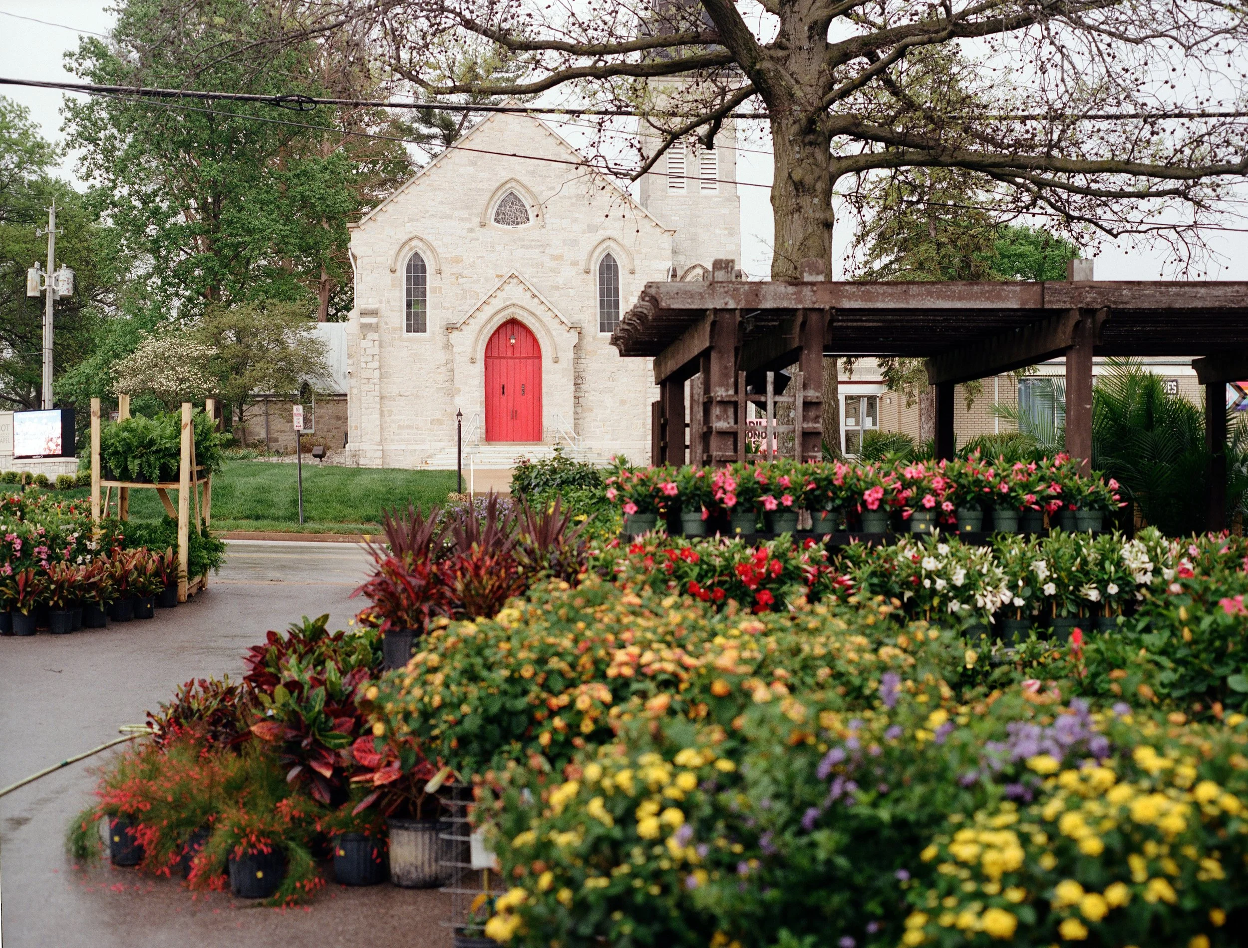 kirkwood2614.jpg