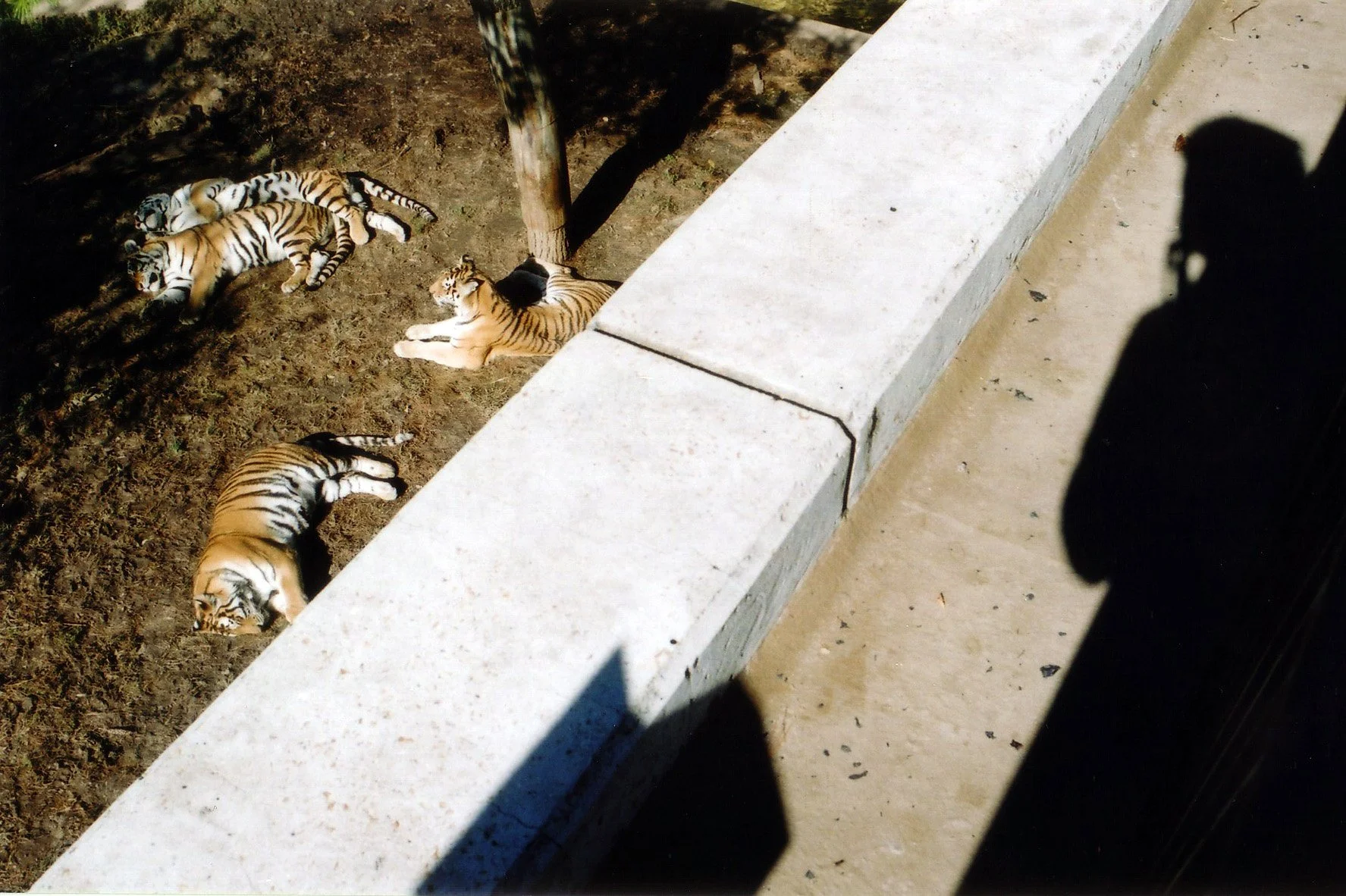 zoo105.jpg