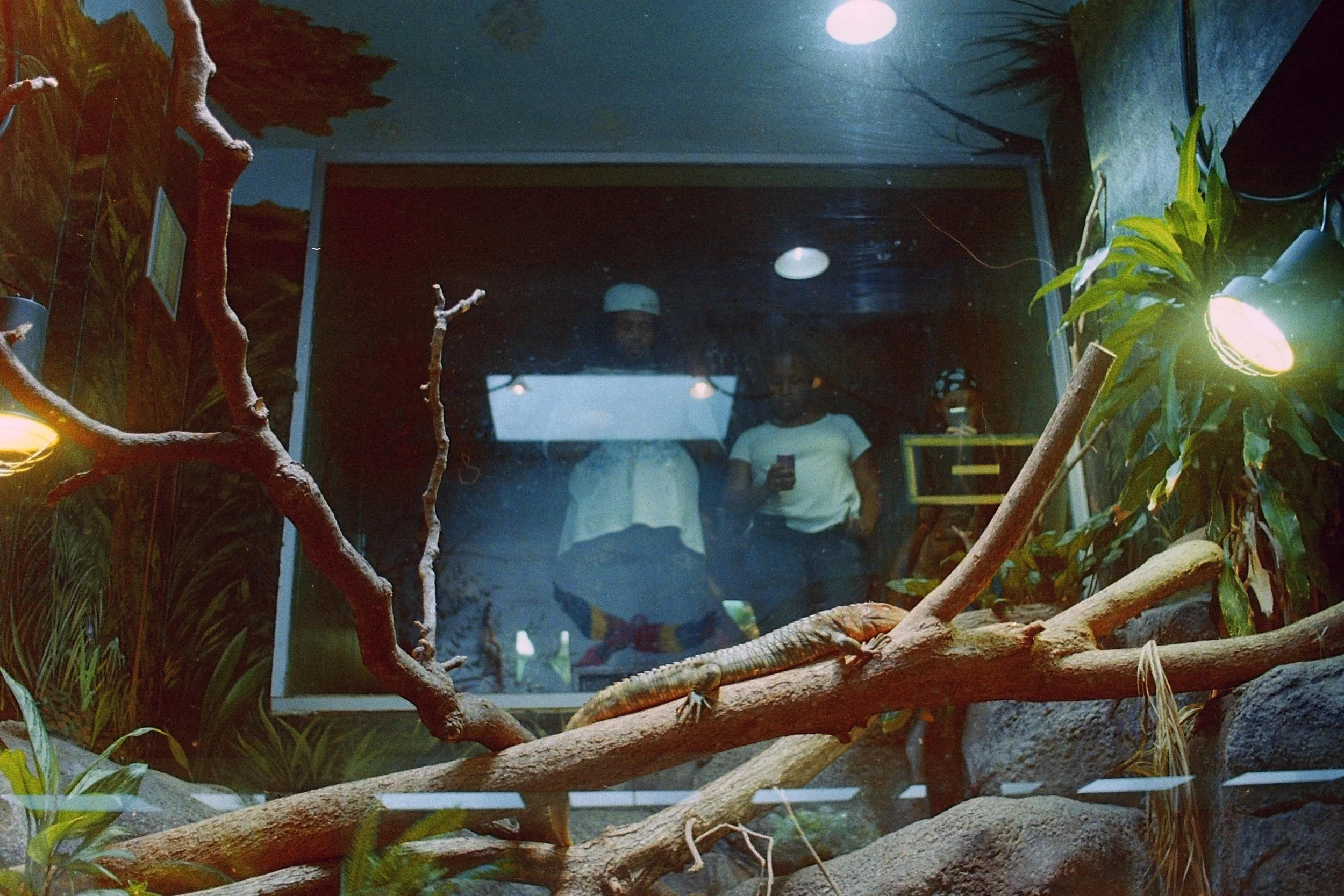 zoo118.jpg