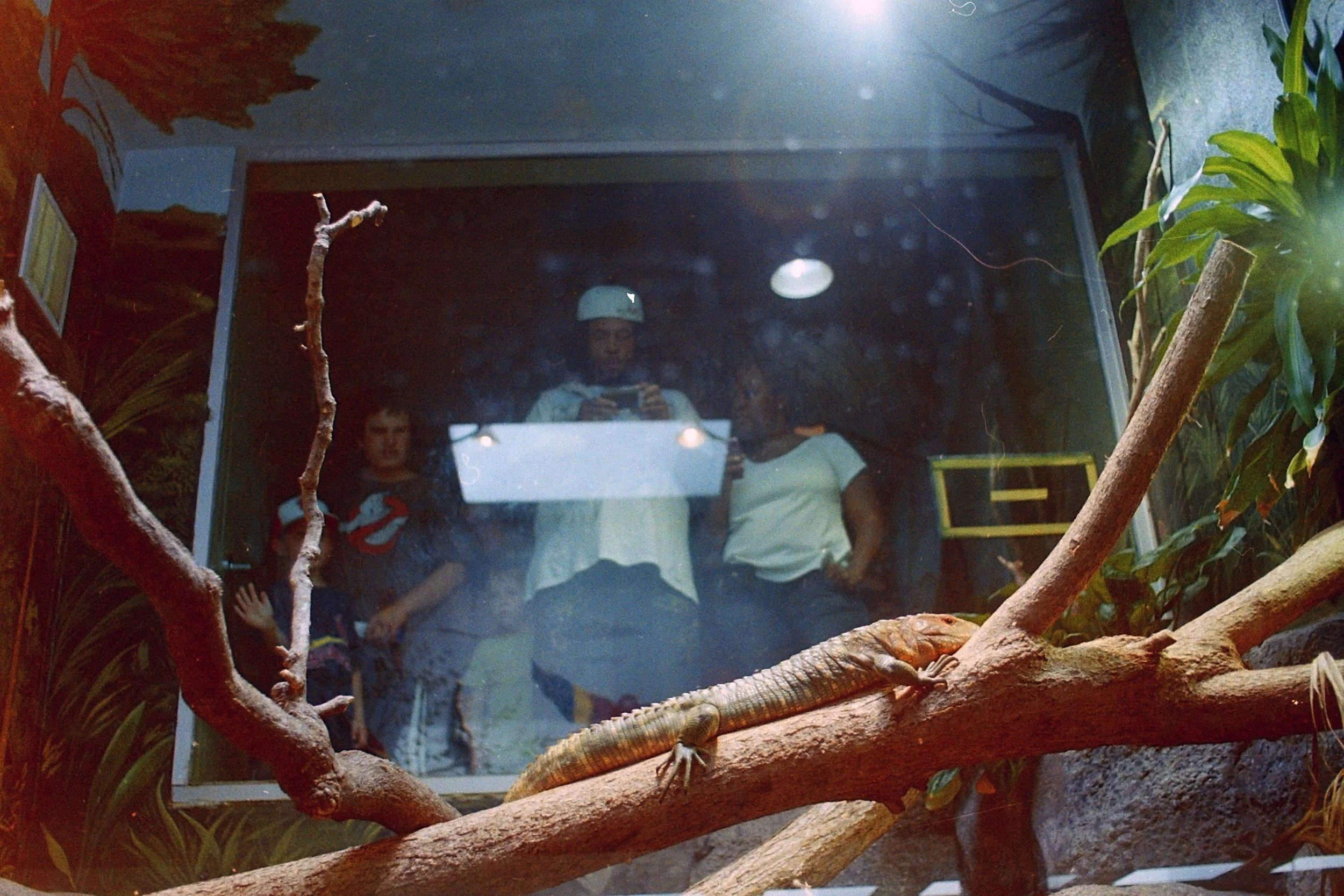 zoo1110.jpg