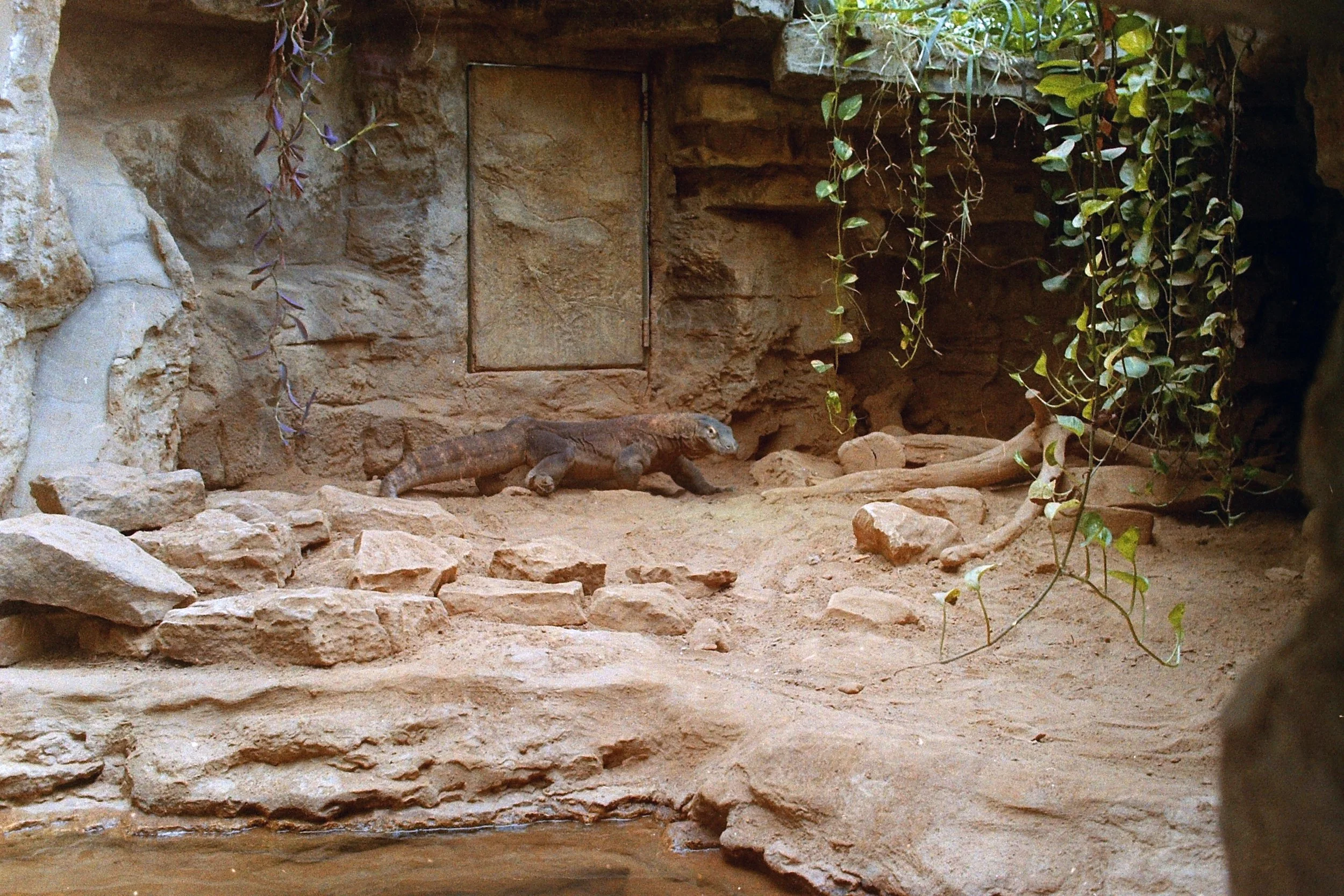 zoo1112.jpg