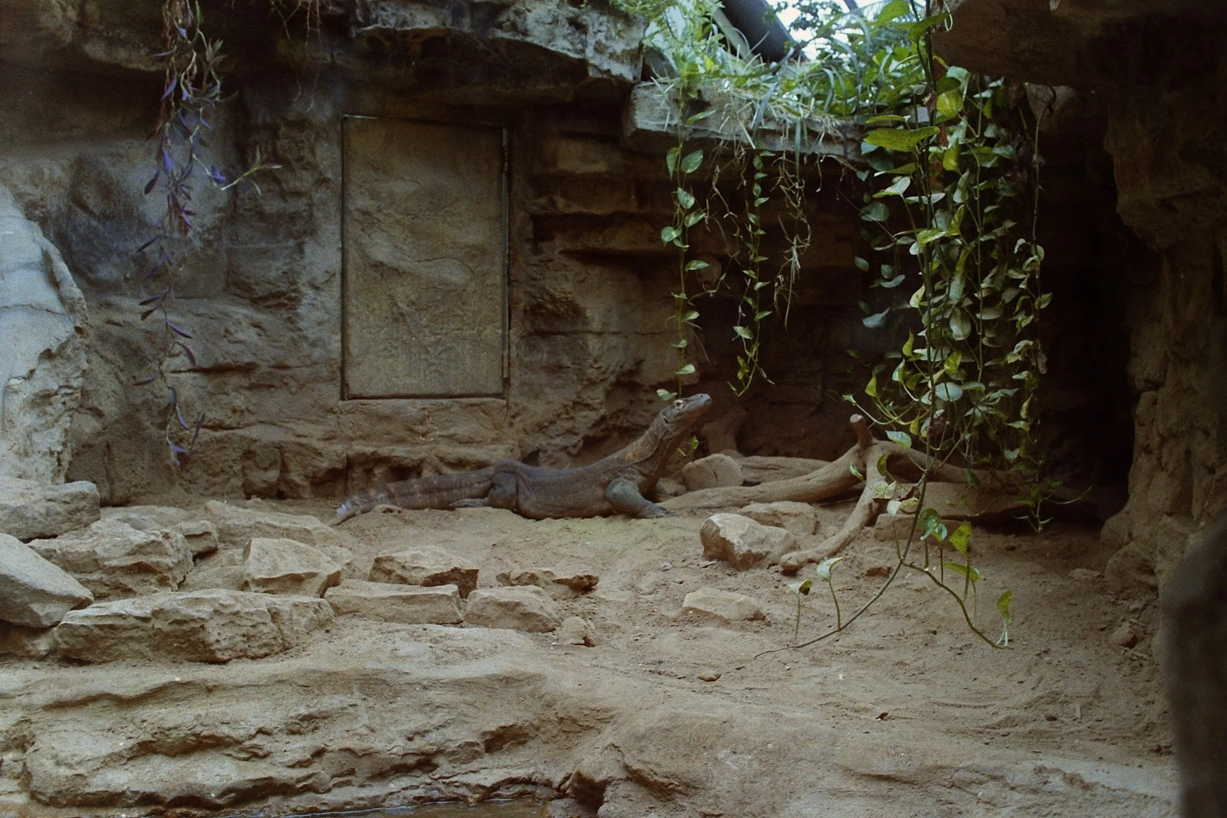 zoo1113.jpg