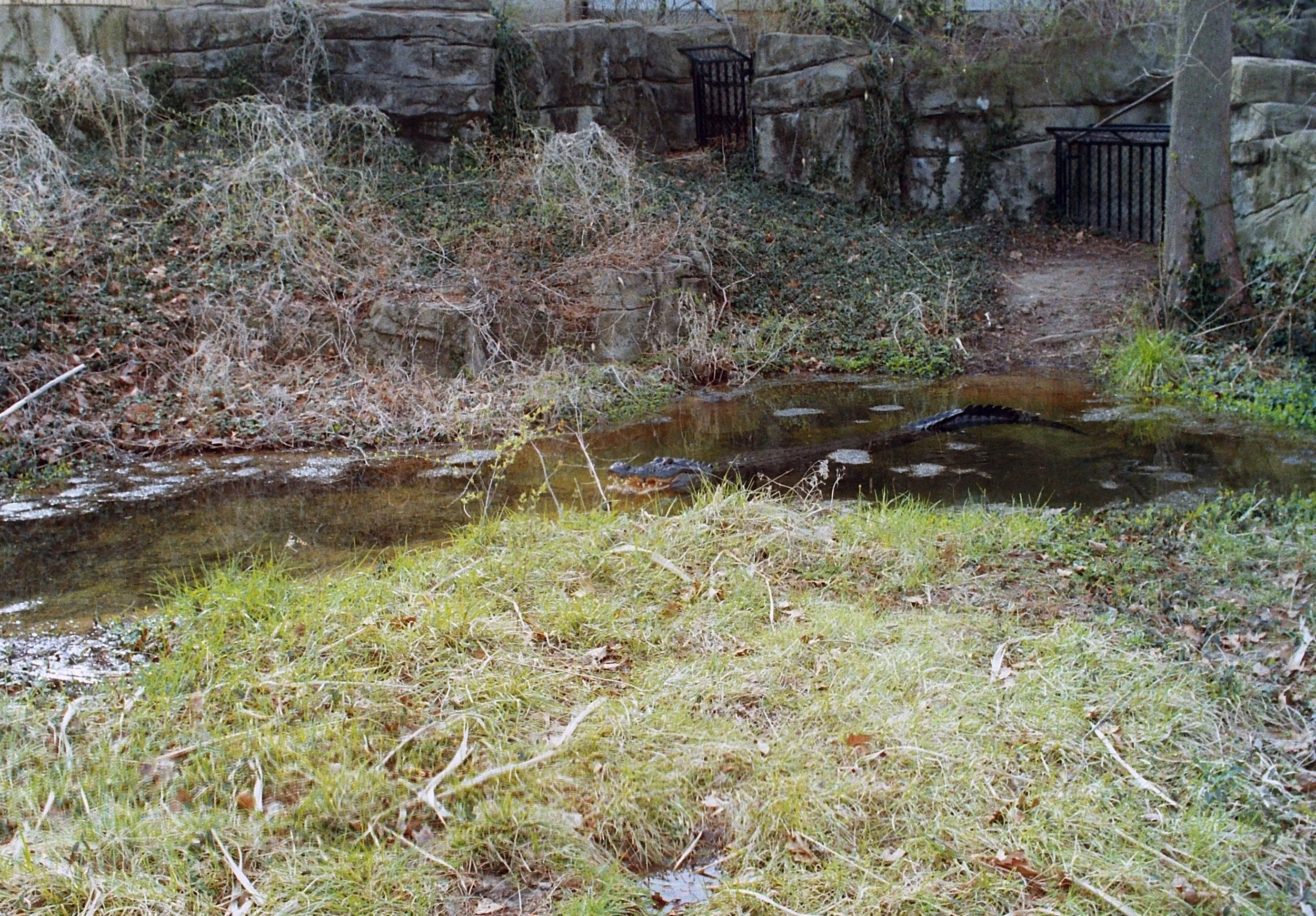 zoo1115.jpg