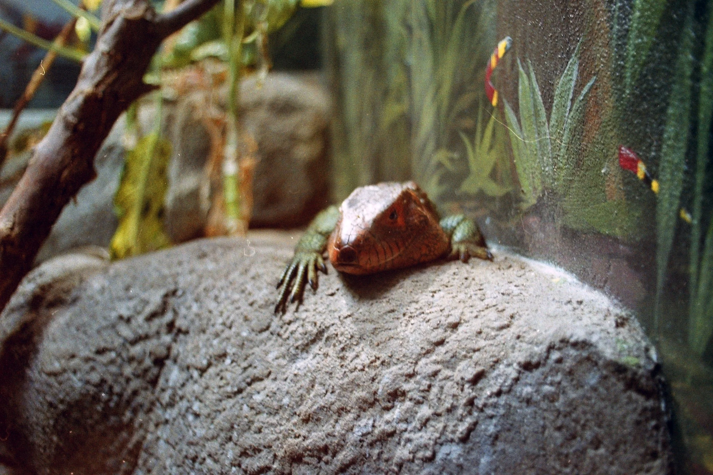zoo1116.jpg