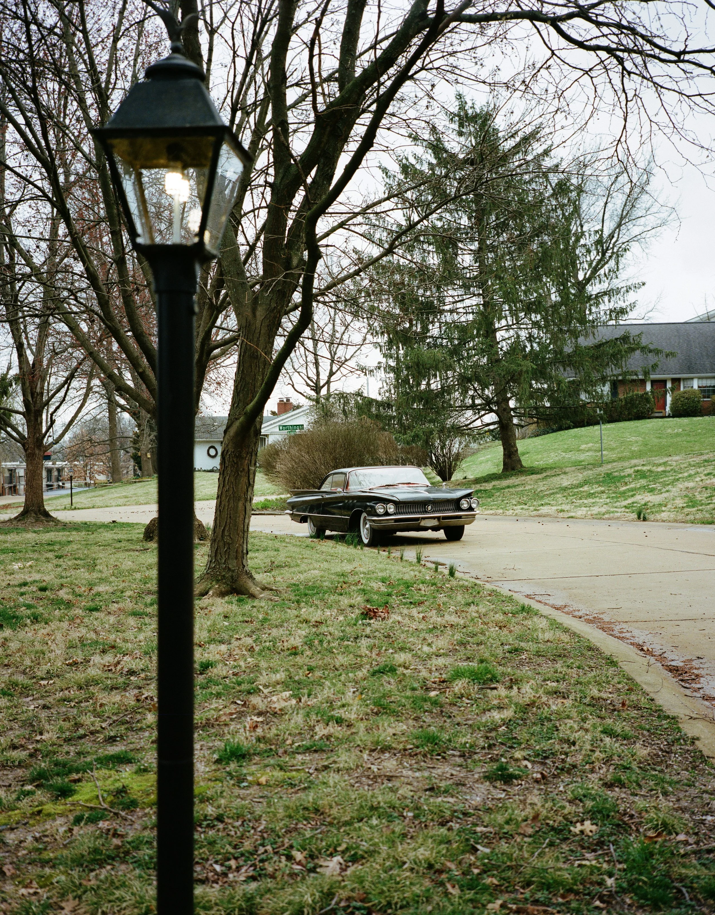 webster2119.jpg