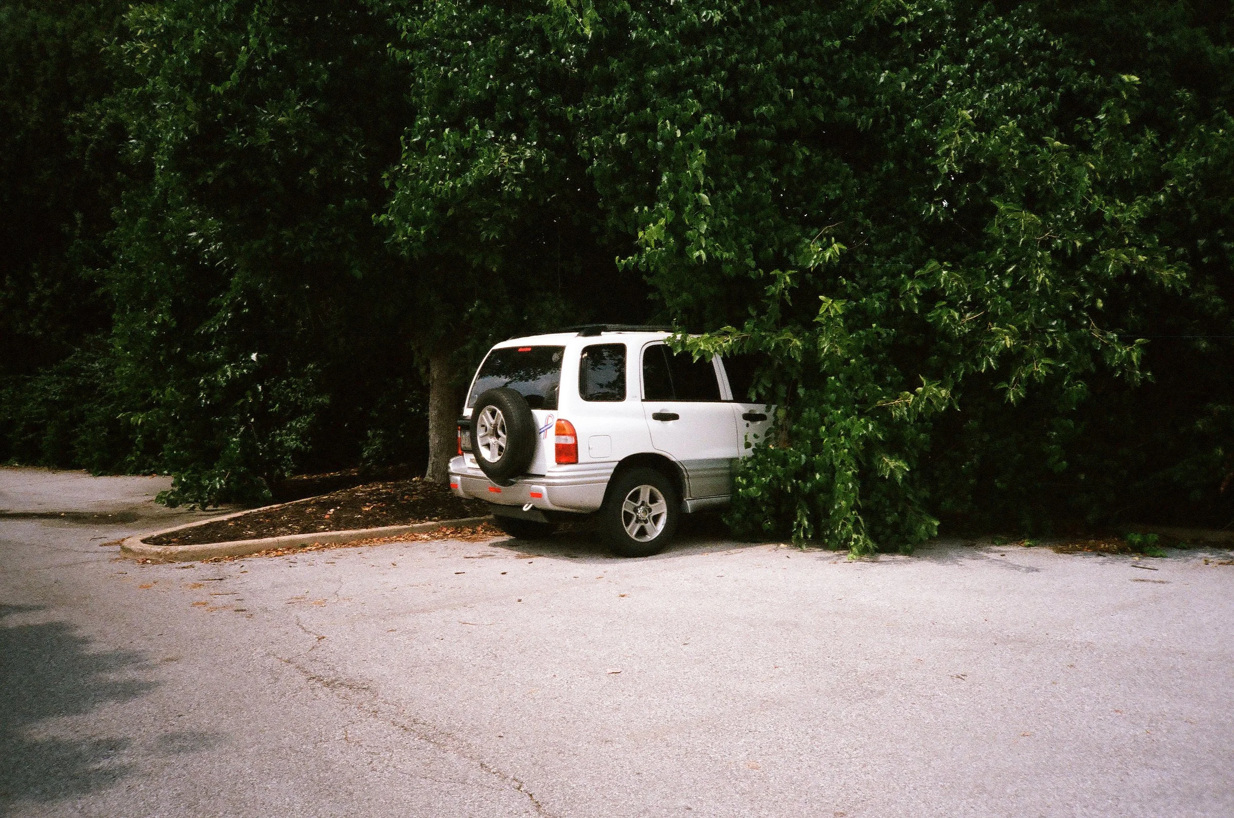 crevecoeur2186.jpg