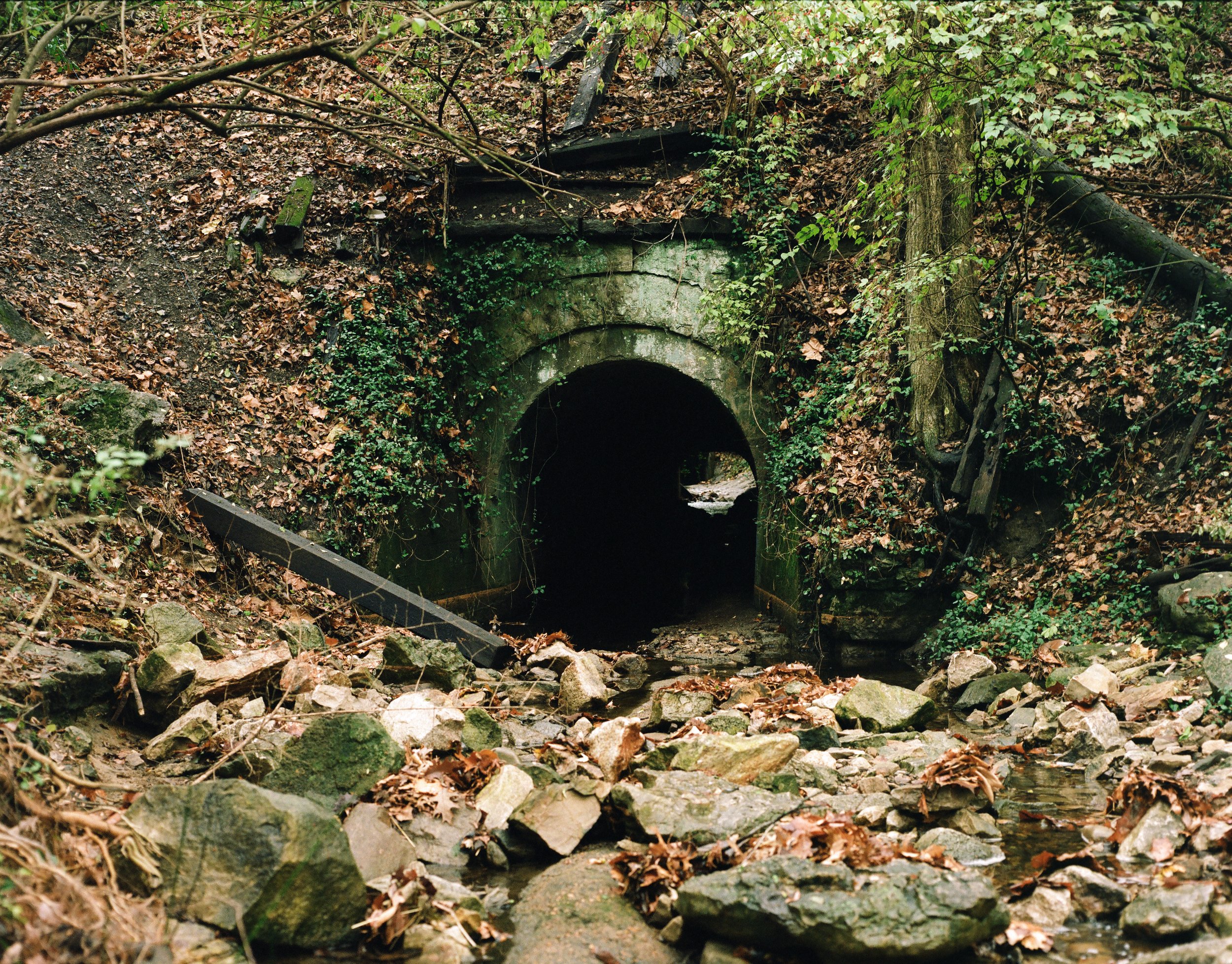 kirkwood2245.jpg