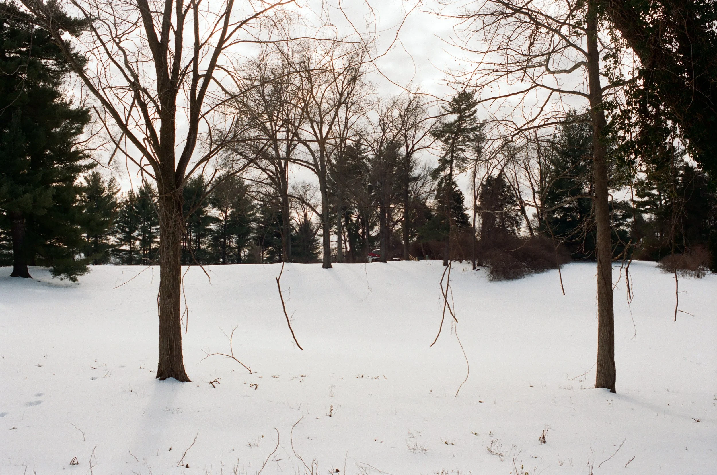 kirkwood24111.jpg