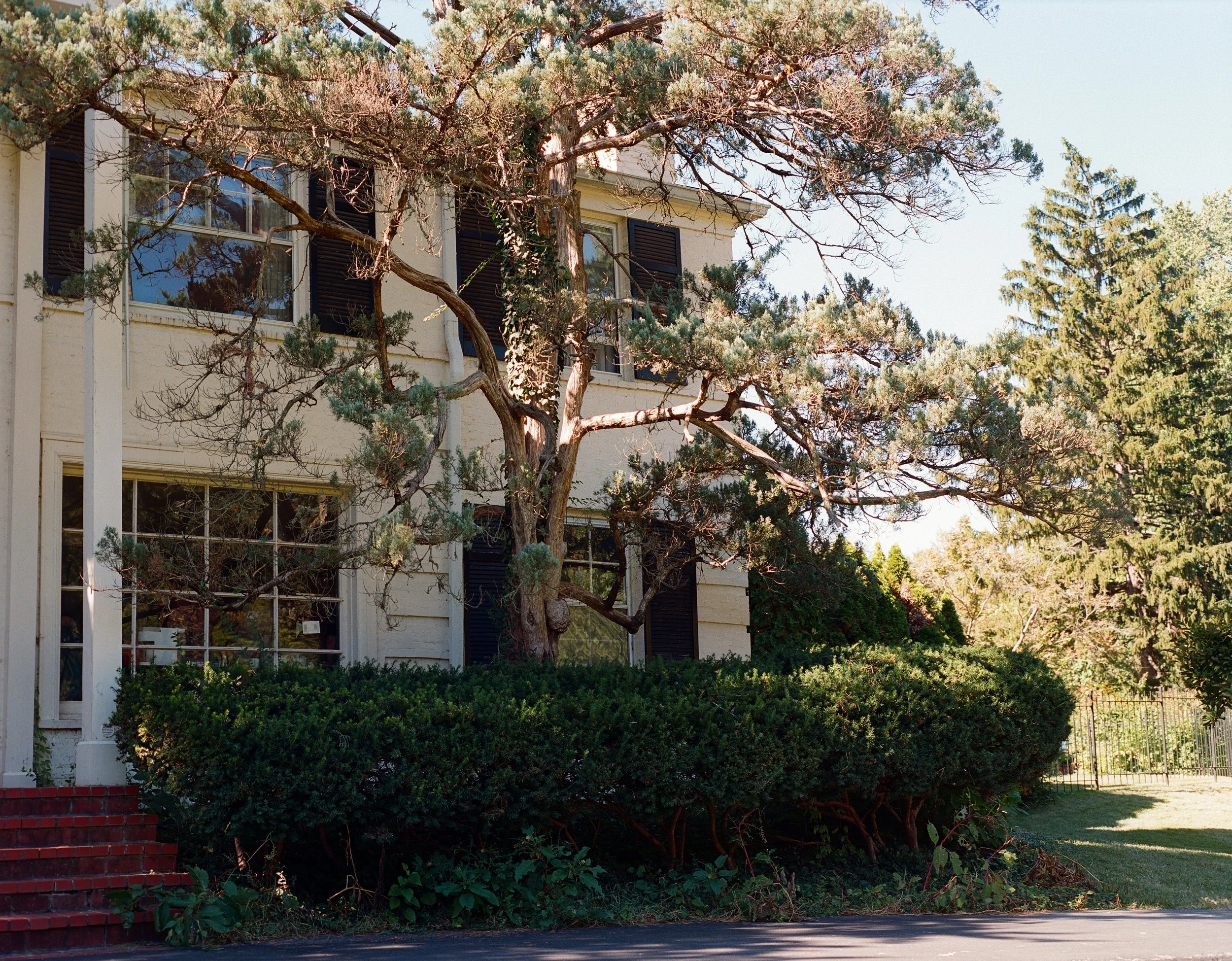 frontenac2629.jpg