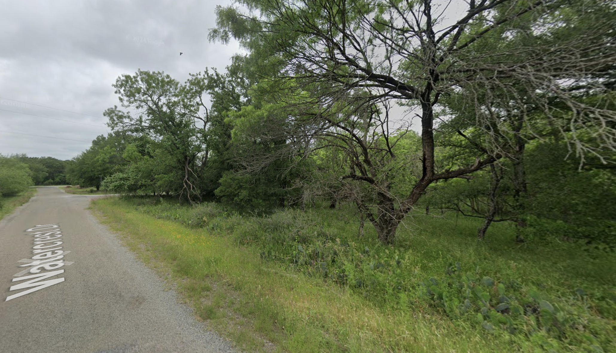 Screenshot 2025-02-26 at 11.48.46 AM.png