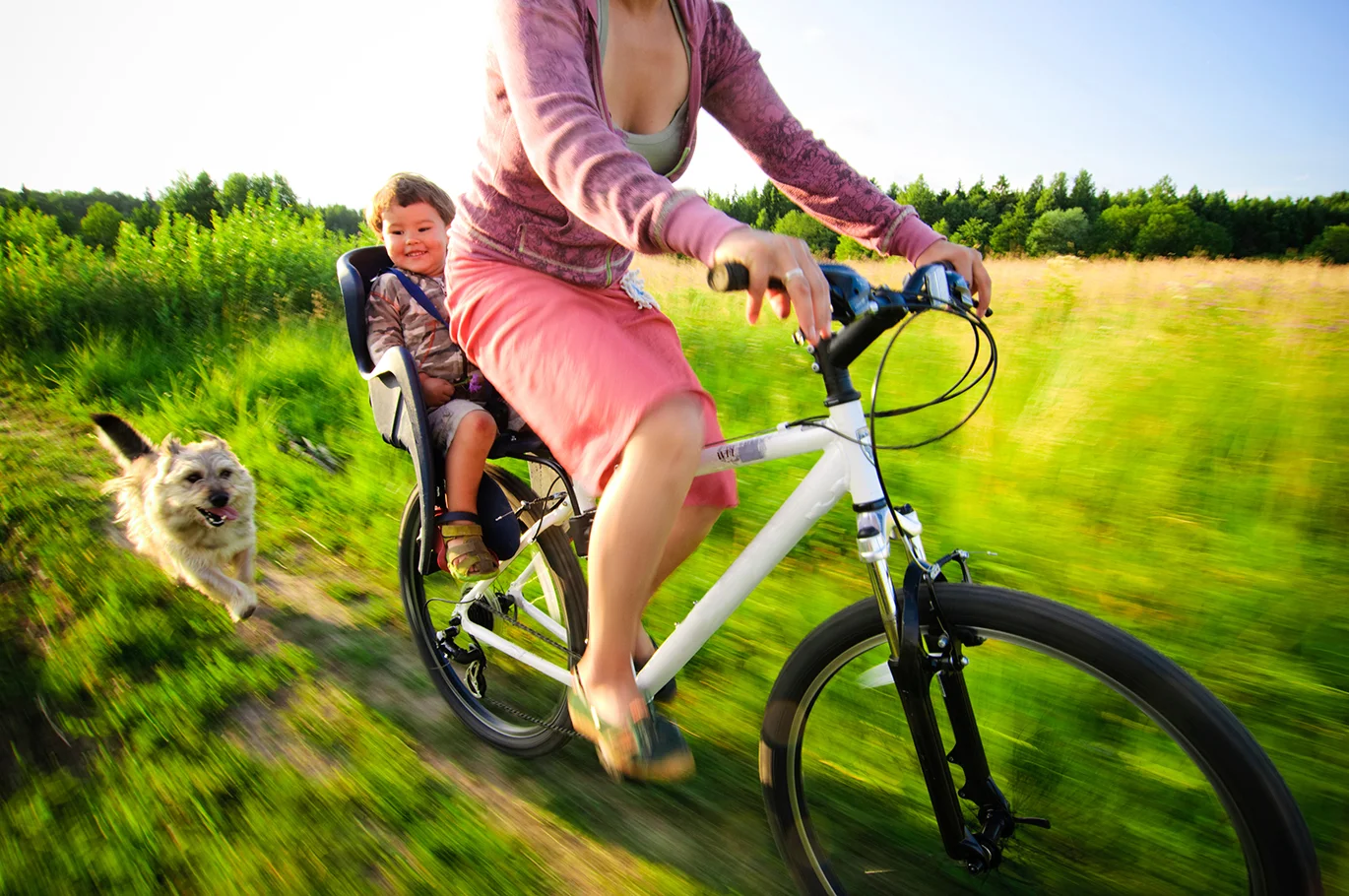 iStock_000010135748XLarge.jpg