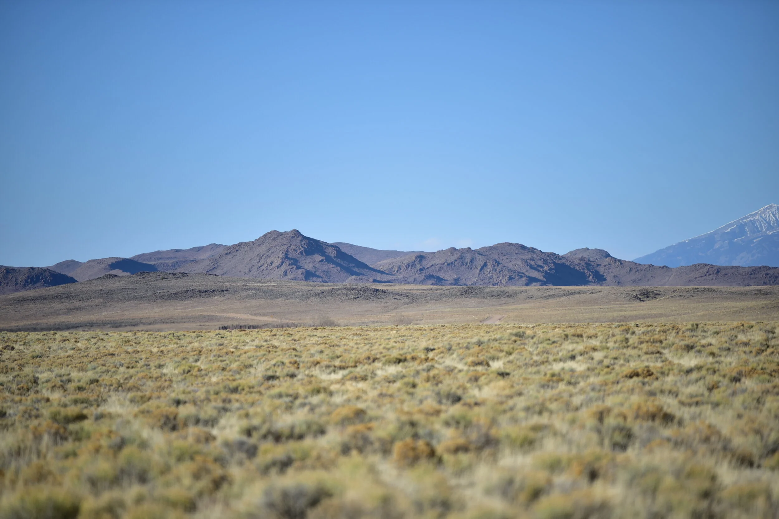 750_4124.JPG