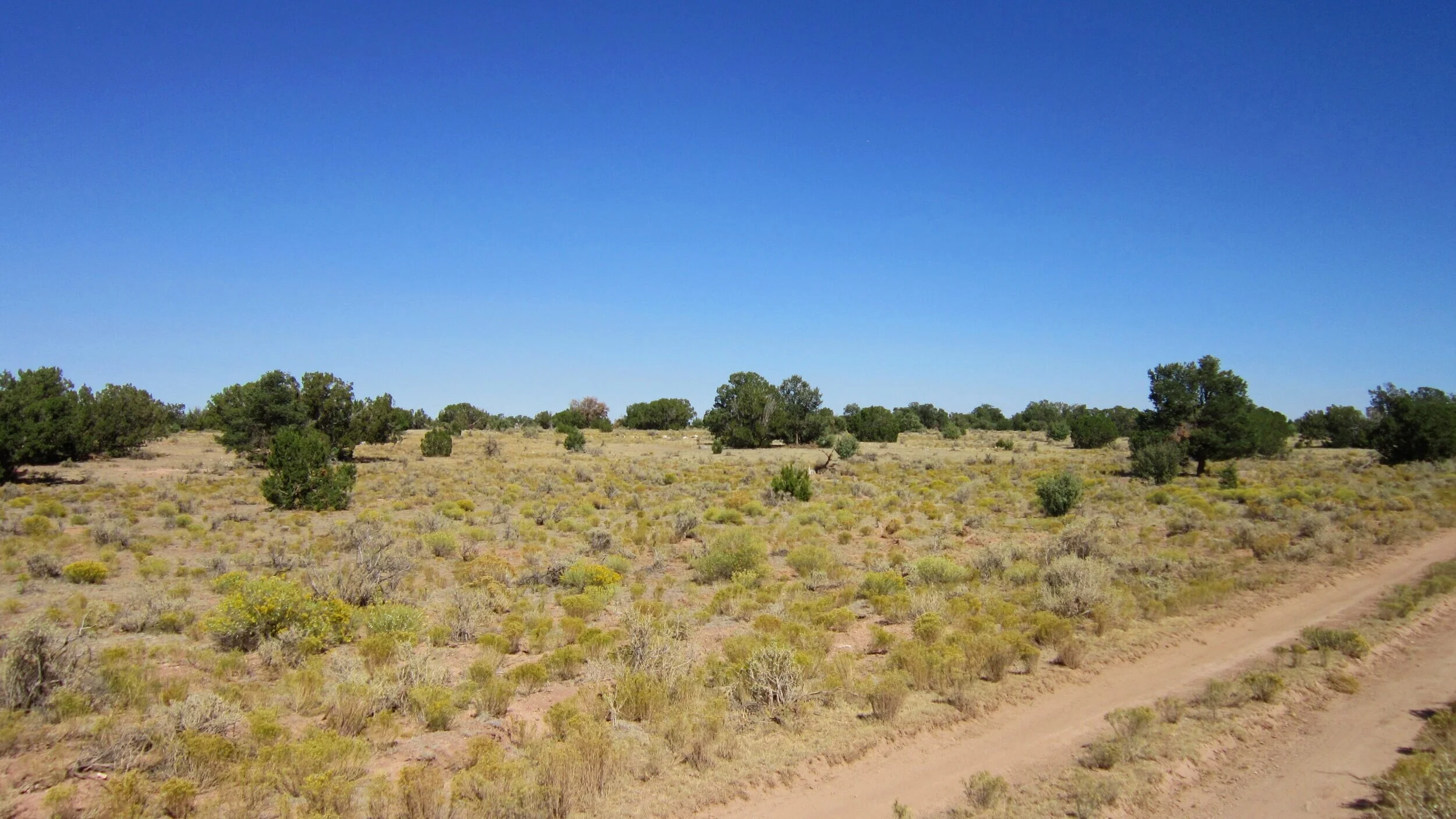 501-62-082+NE+view+from+NE+corner.jpg