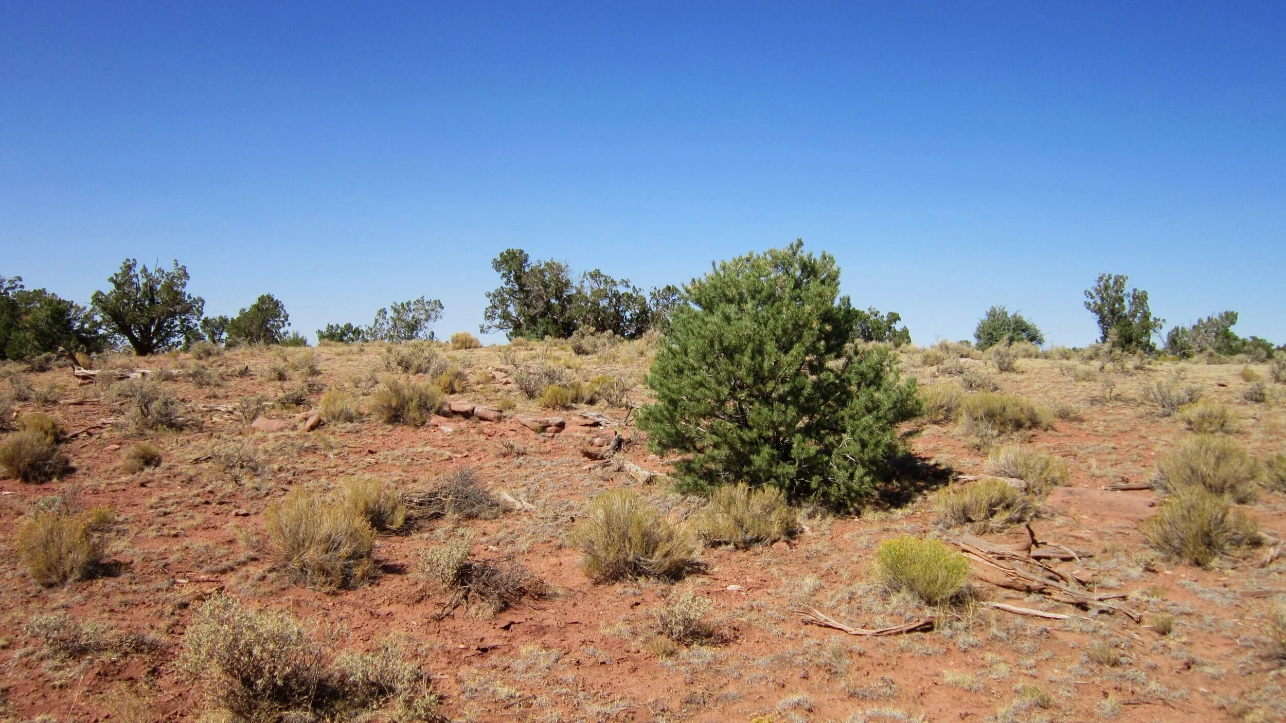 501-62-082+Terrain+facing+north+from+south.jpg