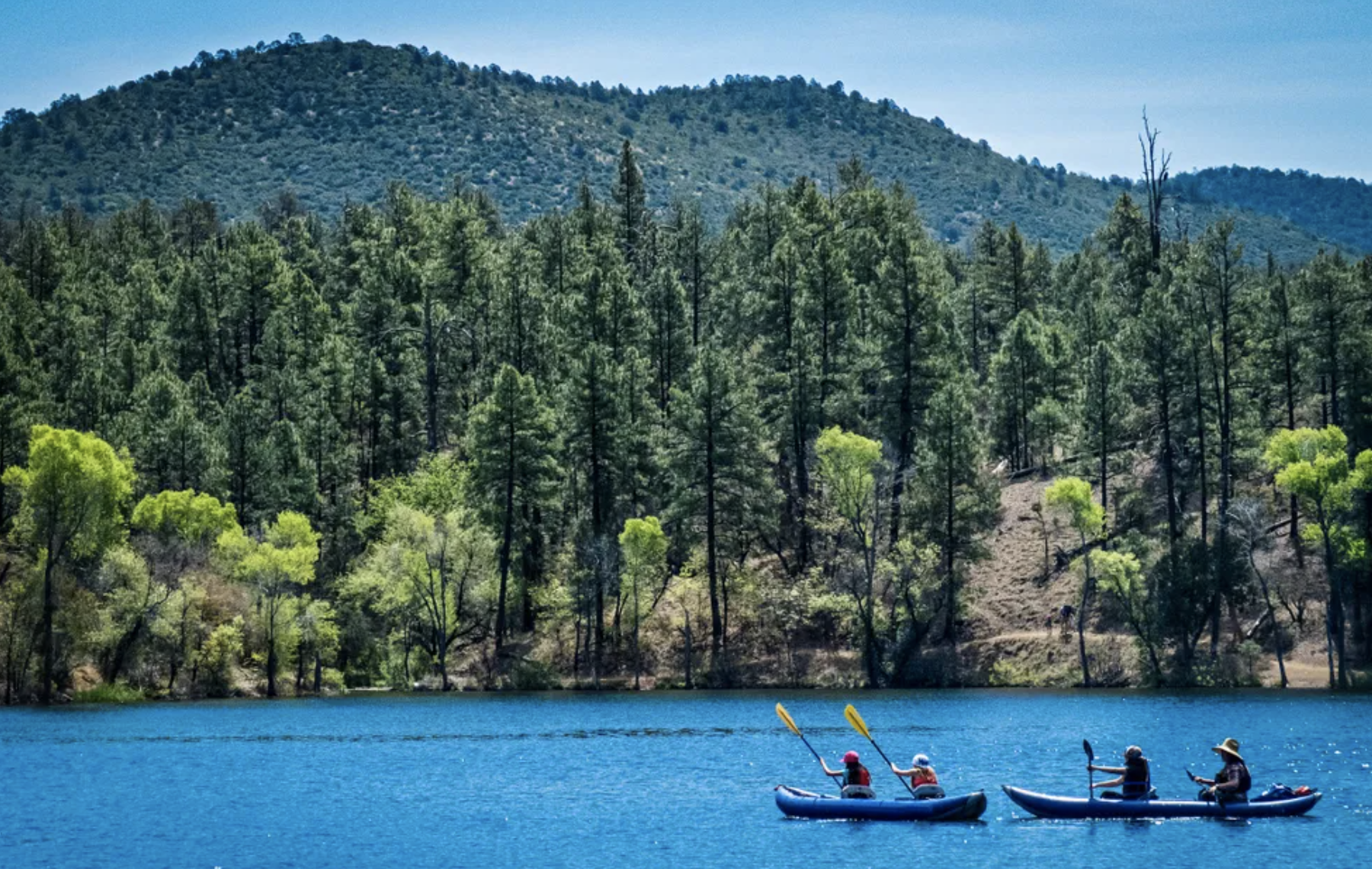 Screen Shot 2022-04-19 at 11.48.44 AM.png