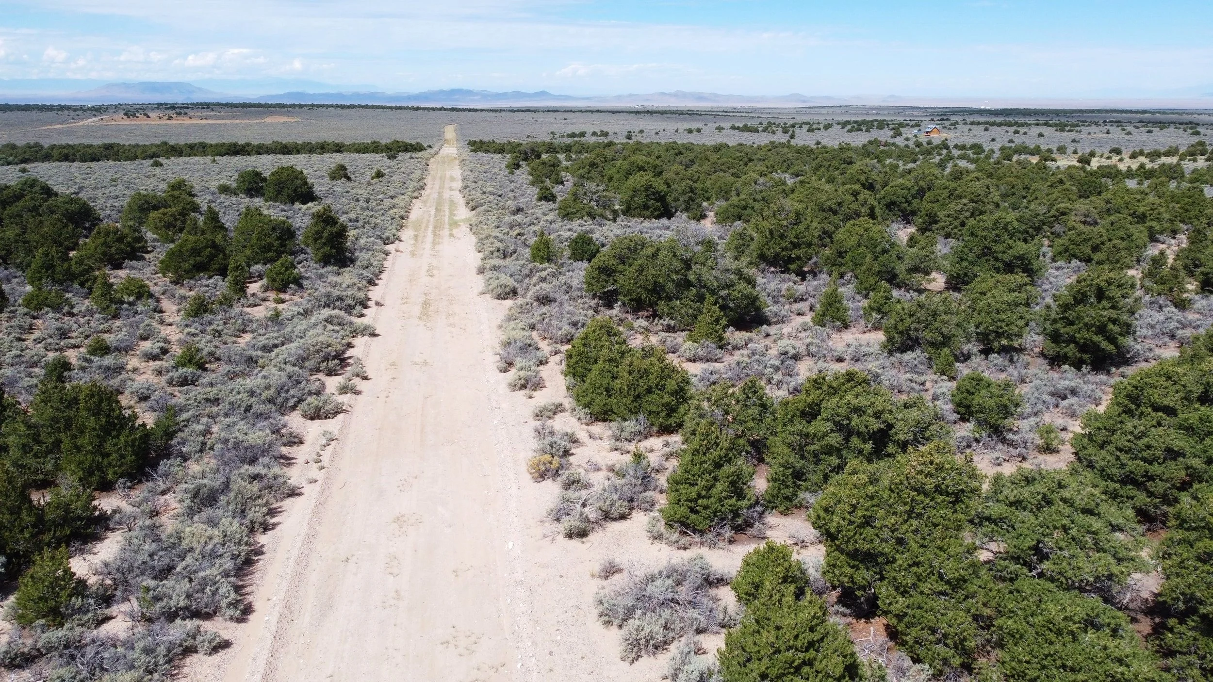DJI_0279.jpg