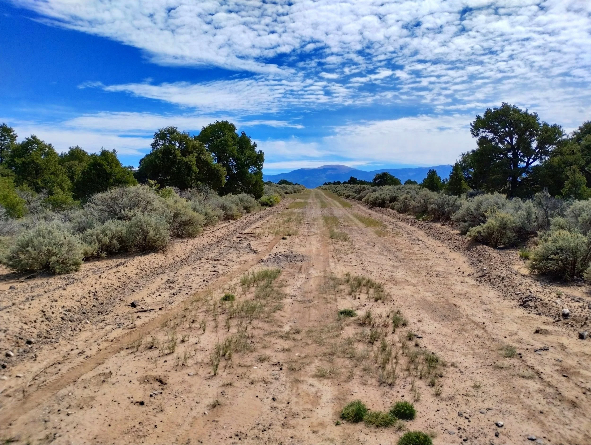 IMG_20220920_120843692_HDR.jpg