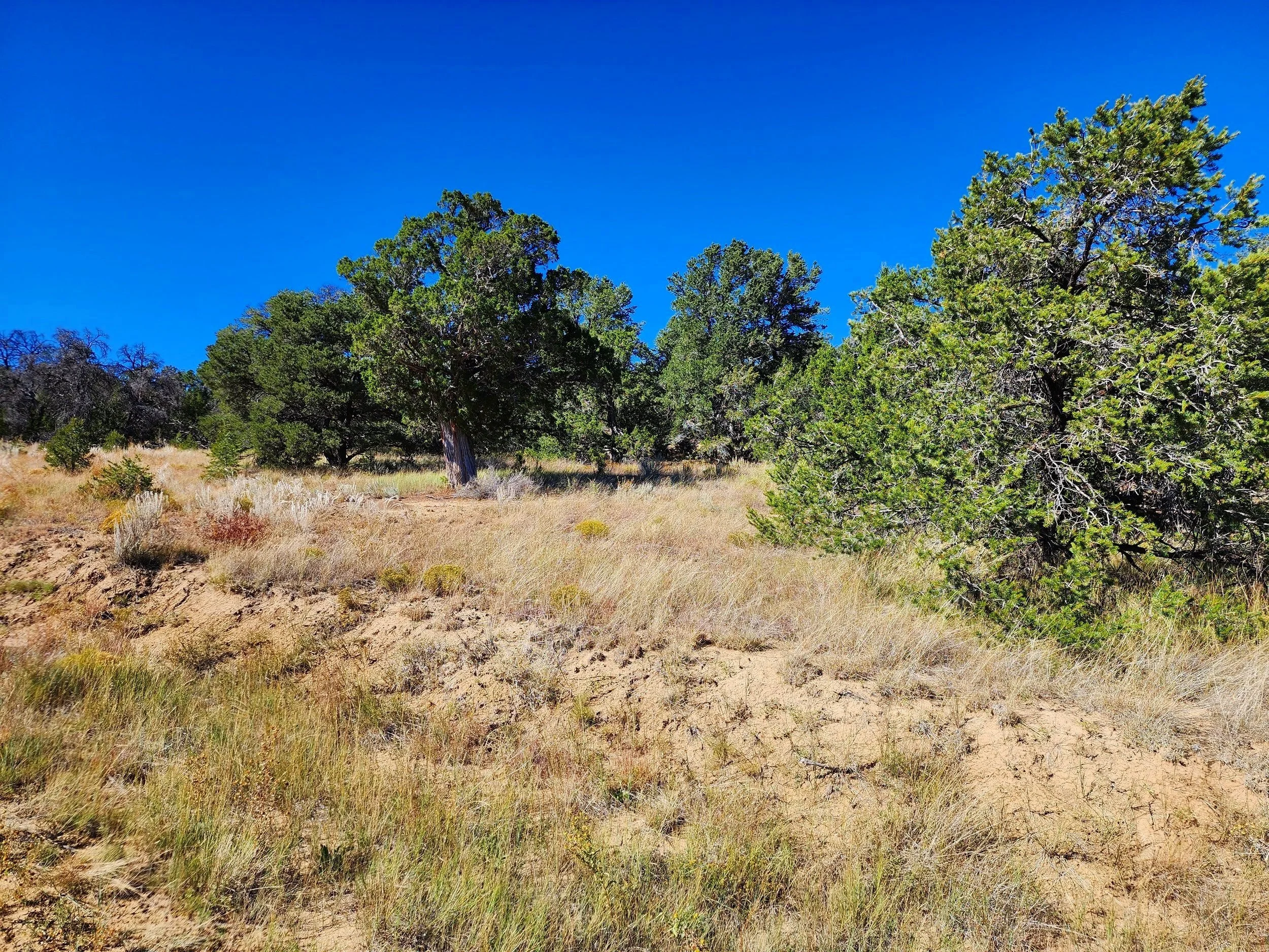 20231005_144440.jpg