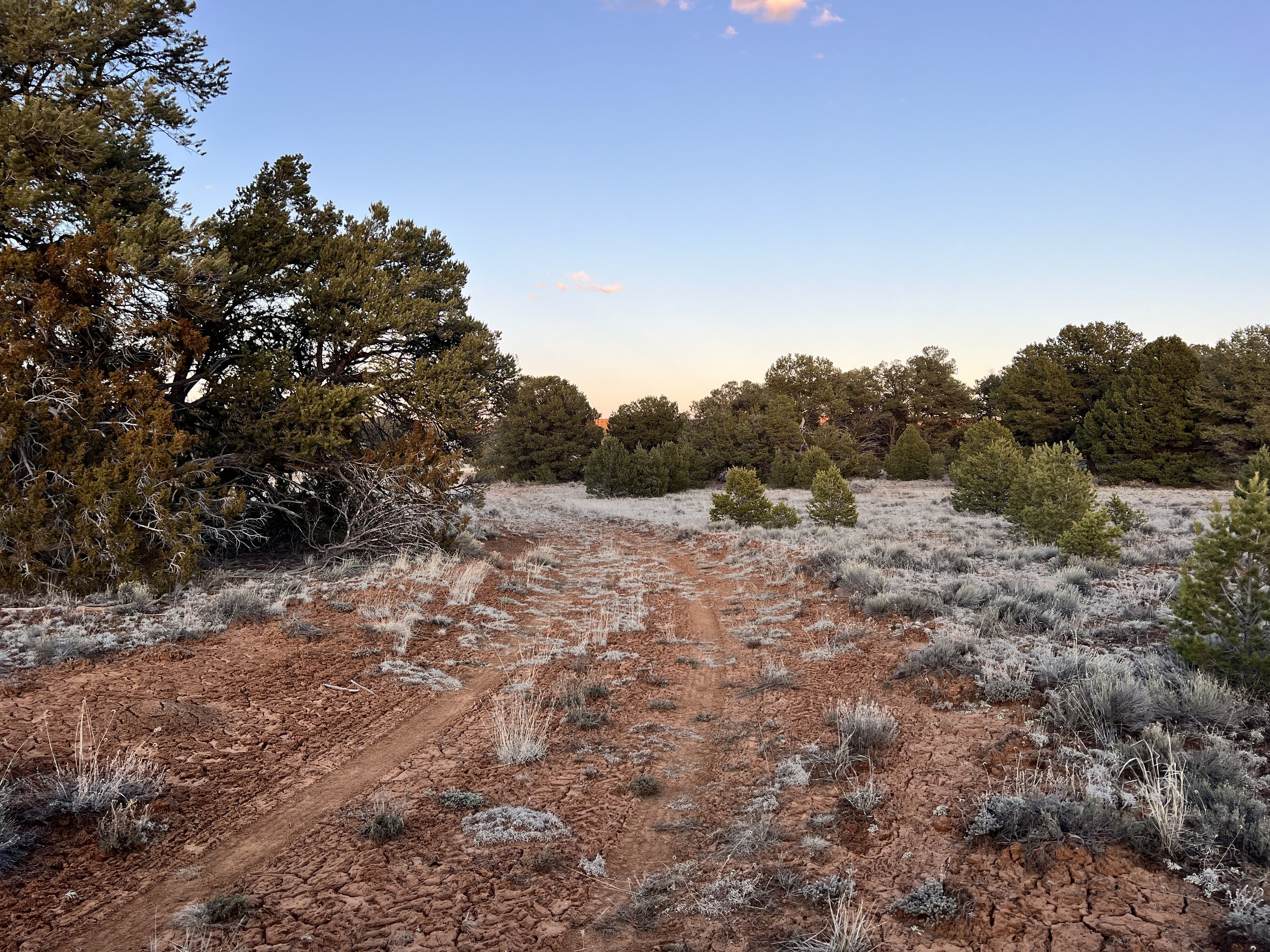 Unlimited Camping + No Restrictions! 12 acres Bring RV/Tiny Home