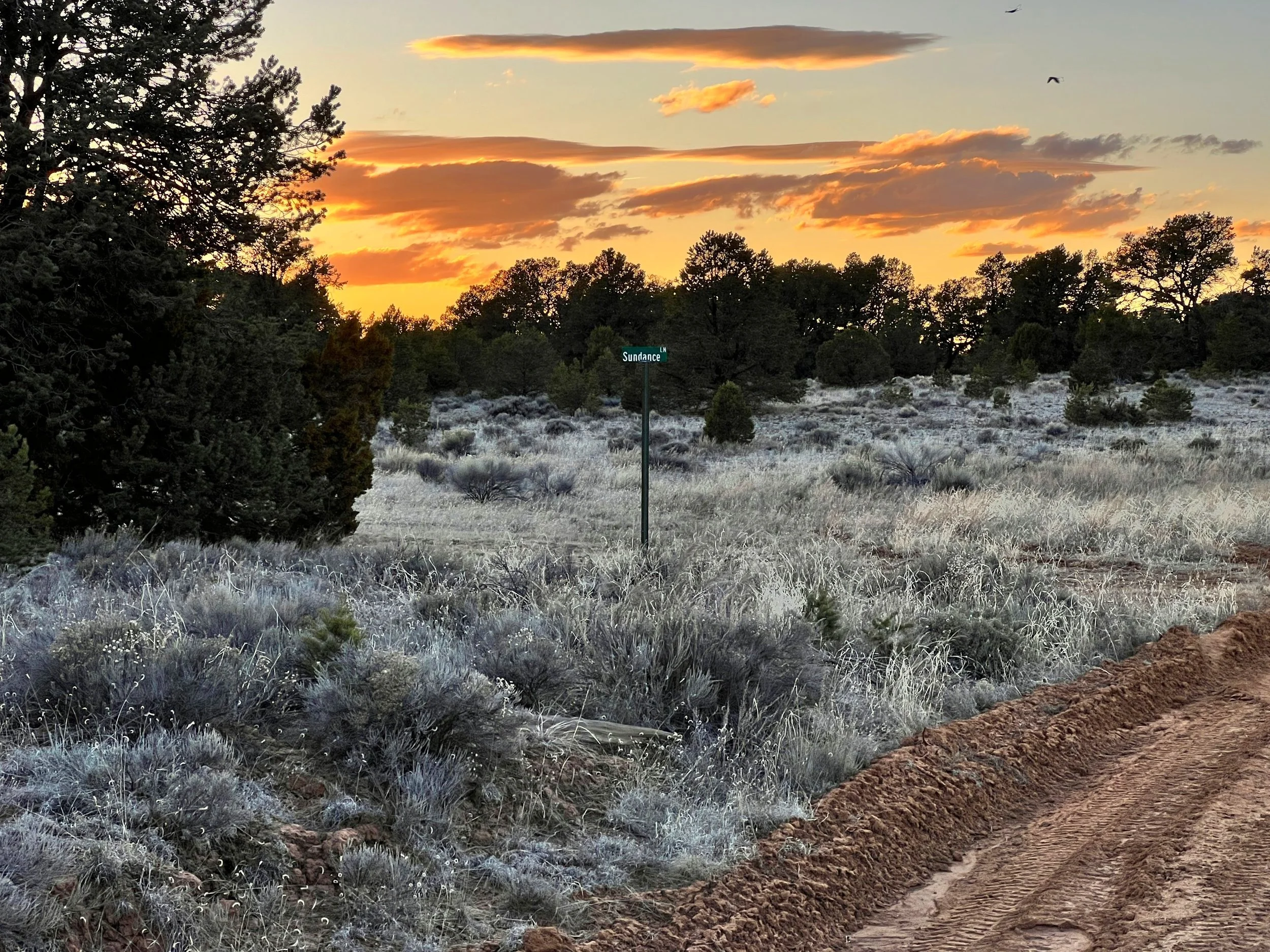 PENDING SALEUnlimited Camping + No Restrictions! 12 acres Bring RV