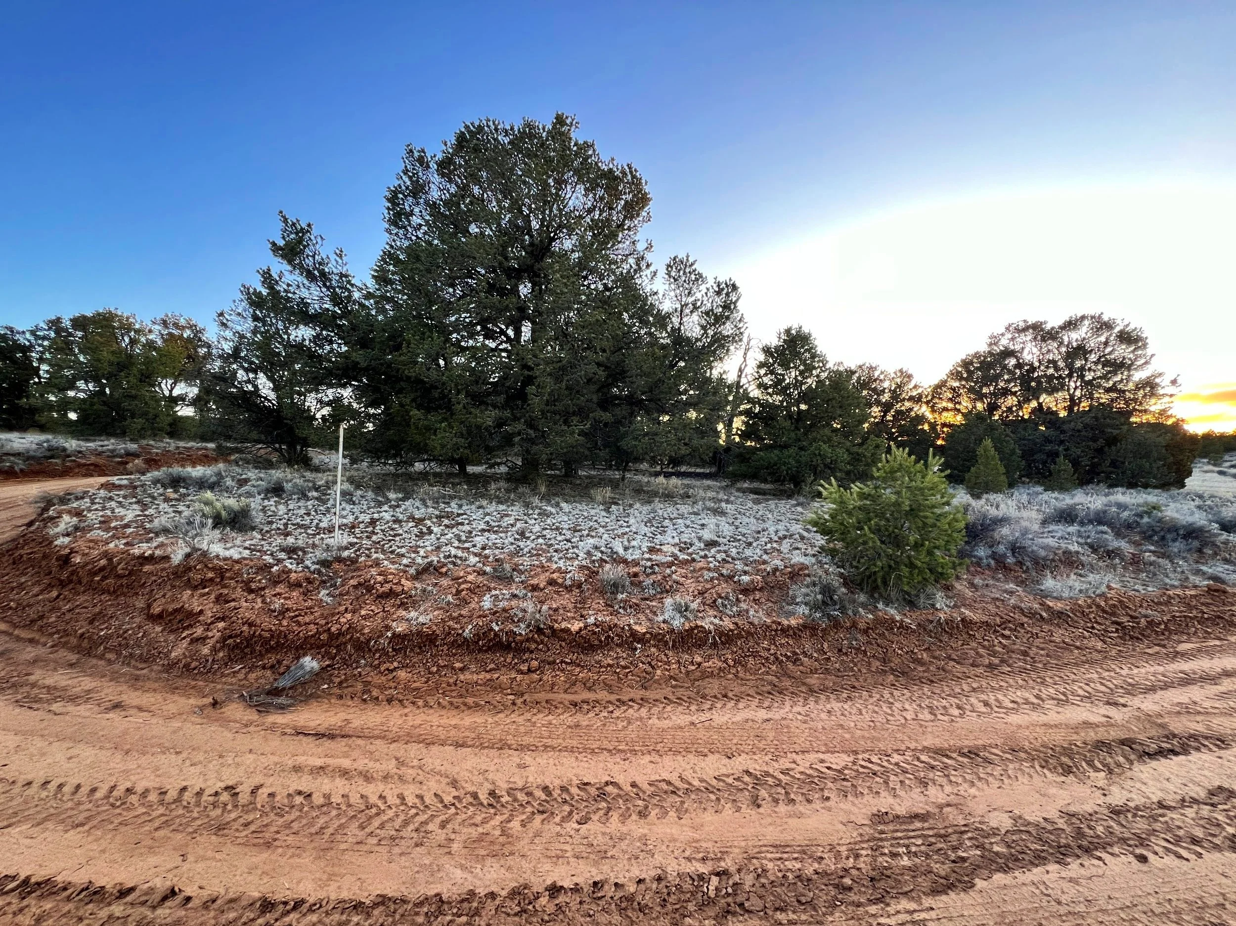 PENDING SALEUnlimited Camping + No Restrictions! 12 acres Bring RV