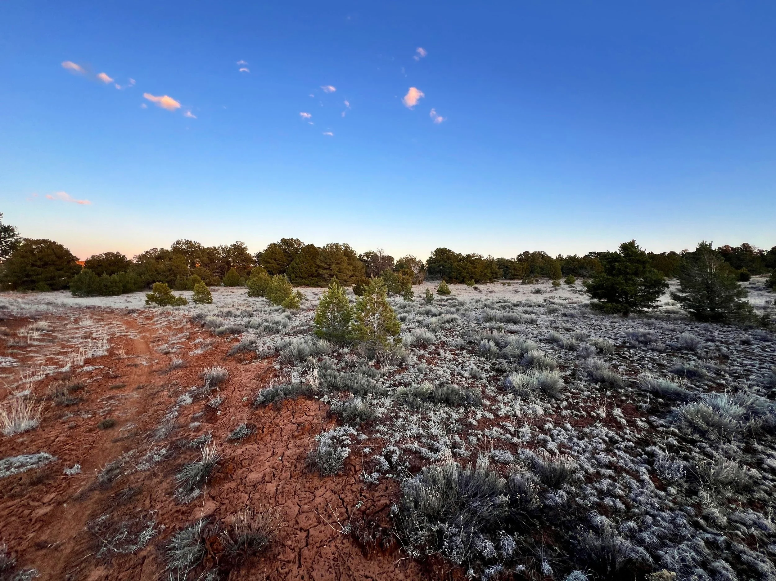 PENDING SALEUnlimited Camping + No Restrictions! 12 acres Bring RV