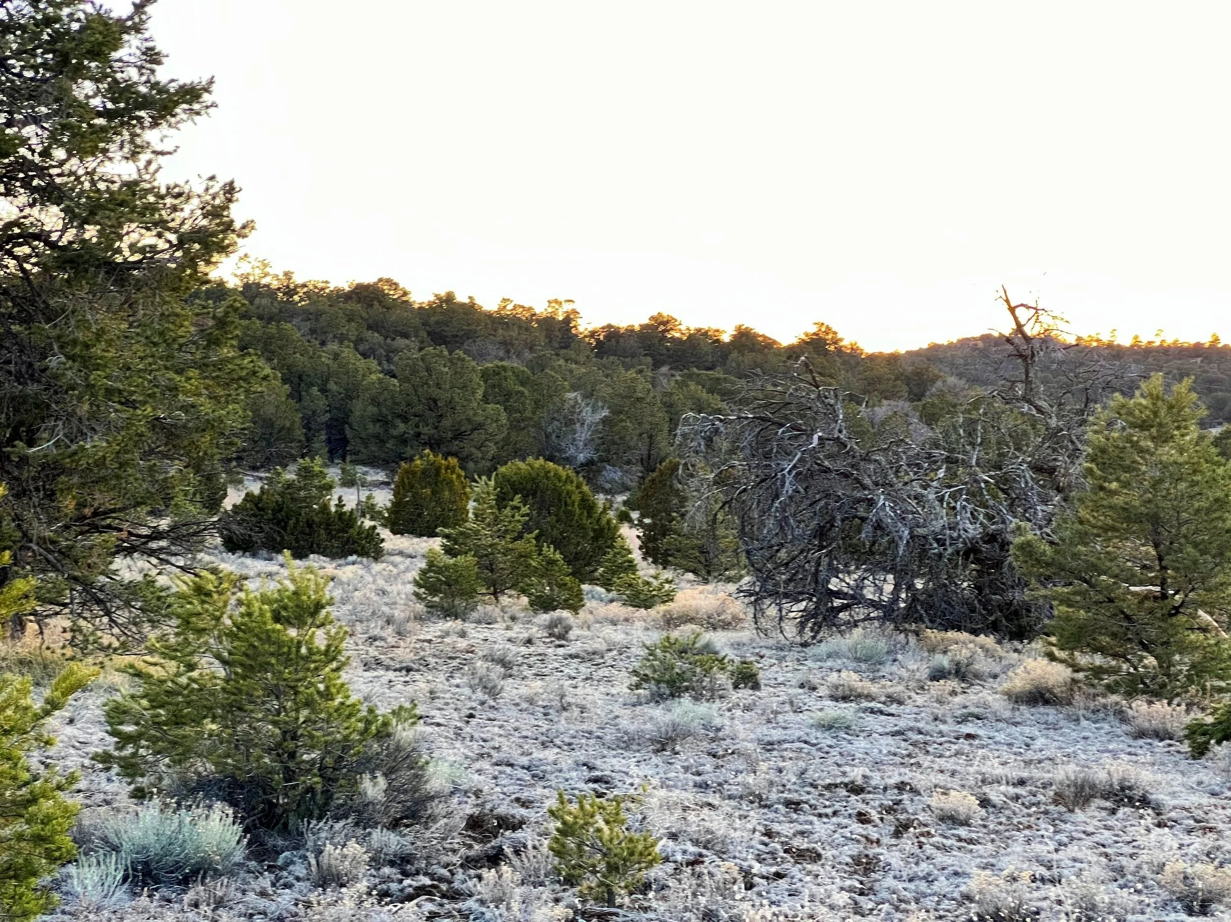 Unlimited Camping + No Restrictions! 12 acres Bring RV/Tiny Home