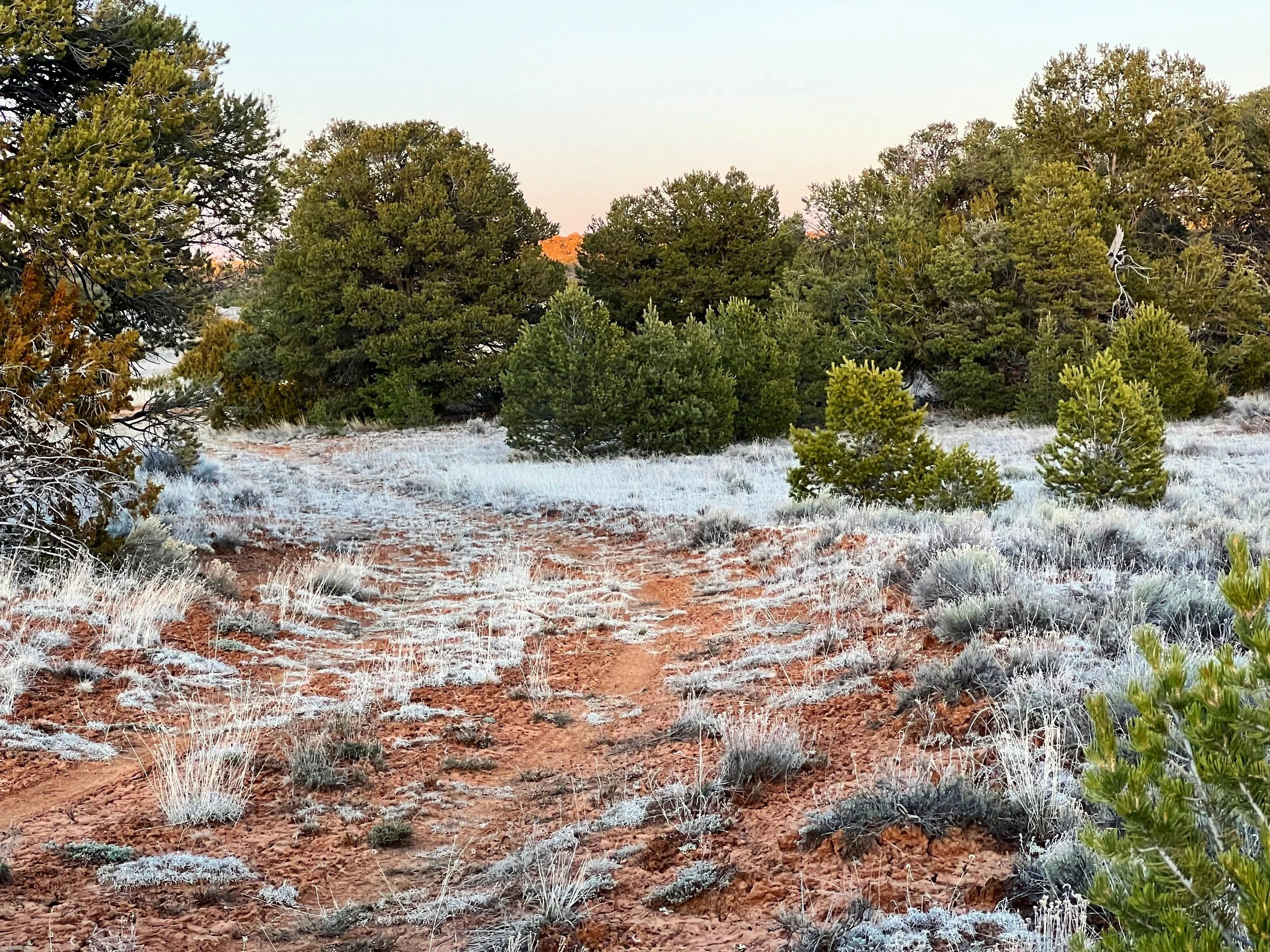 Unlimited Camping + No Restrictions! 12 acres Bring RV/Tiny Home