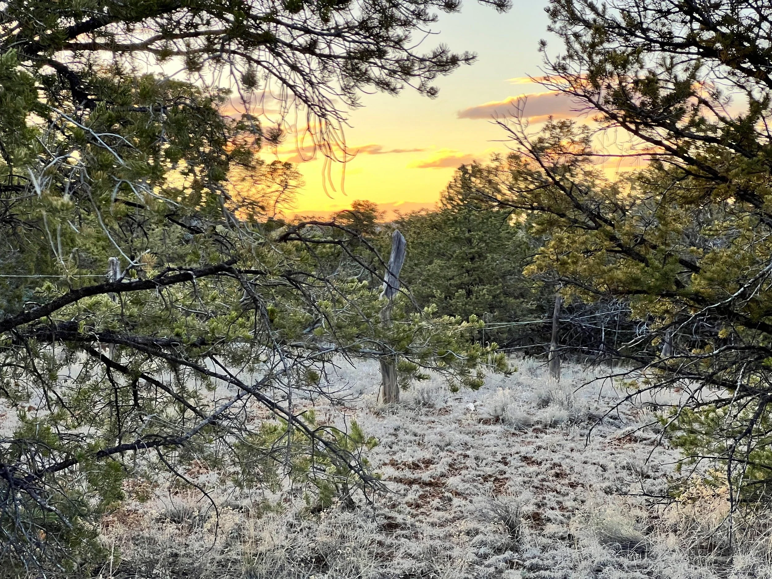 Unlimited Camping + No Restrictions! 12 acres Bring RV/Tiny Home