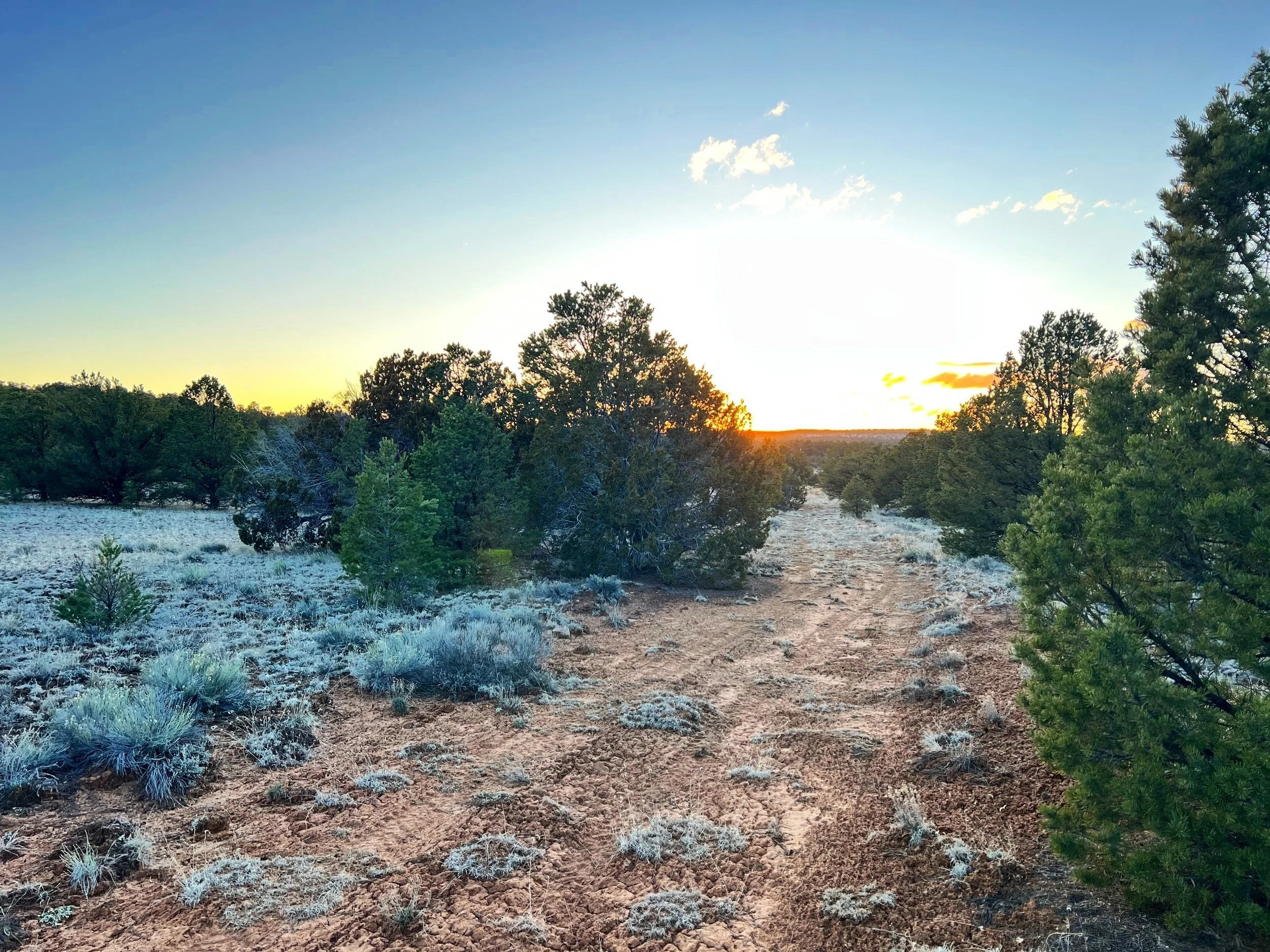 Unlimited Camping + No Restrictions! 12 acres Bring RV/Tiny Home