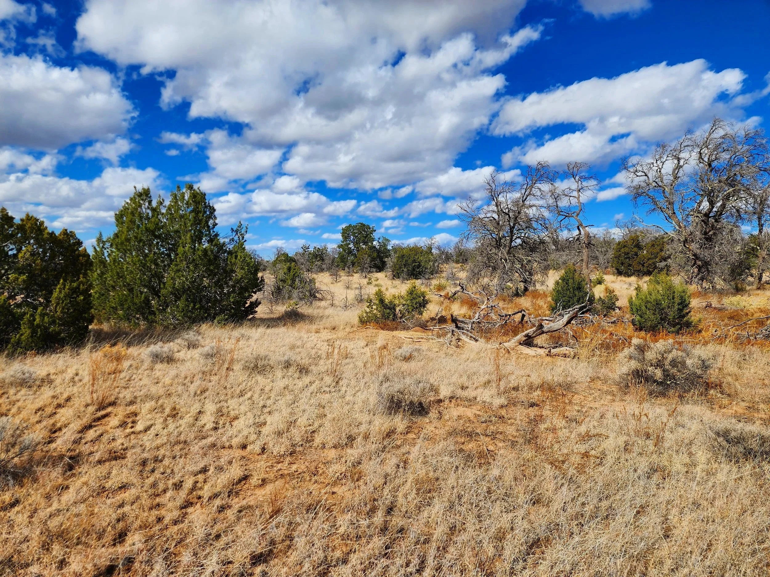 20231109_123800.jpg