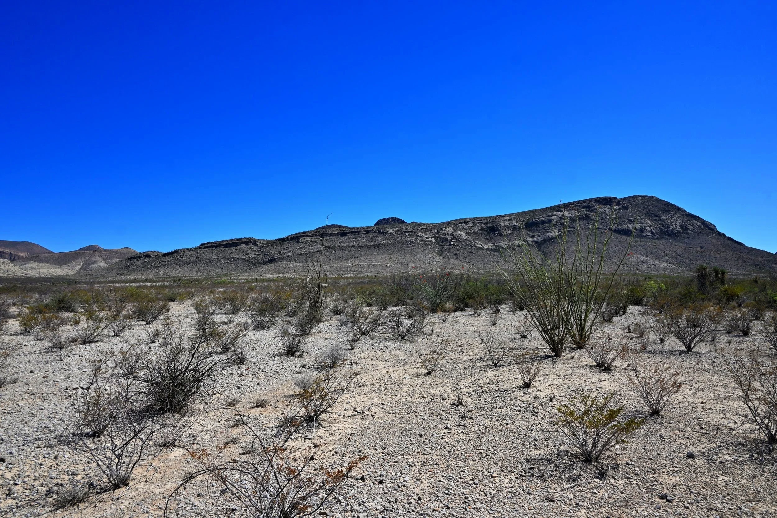 DSC_5037.jpg